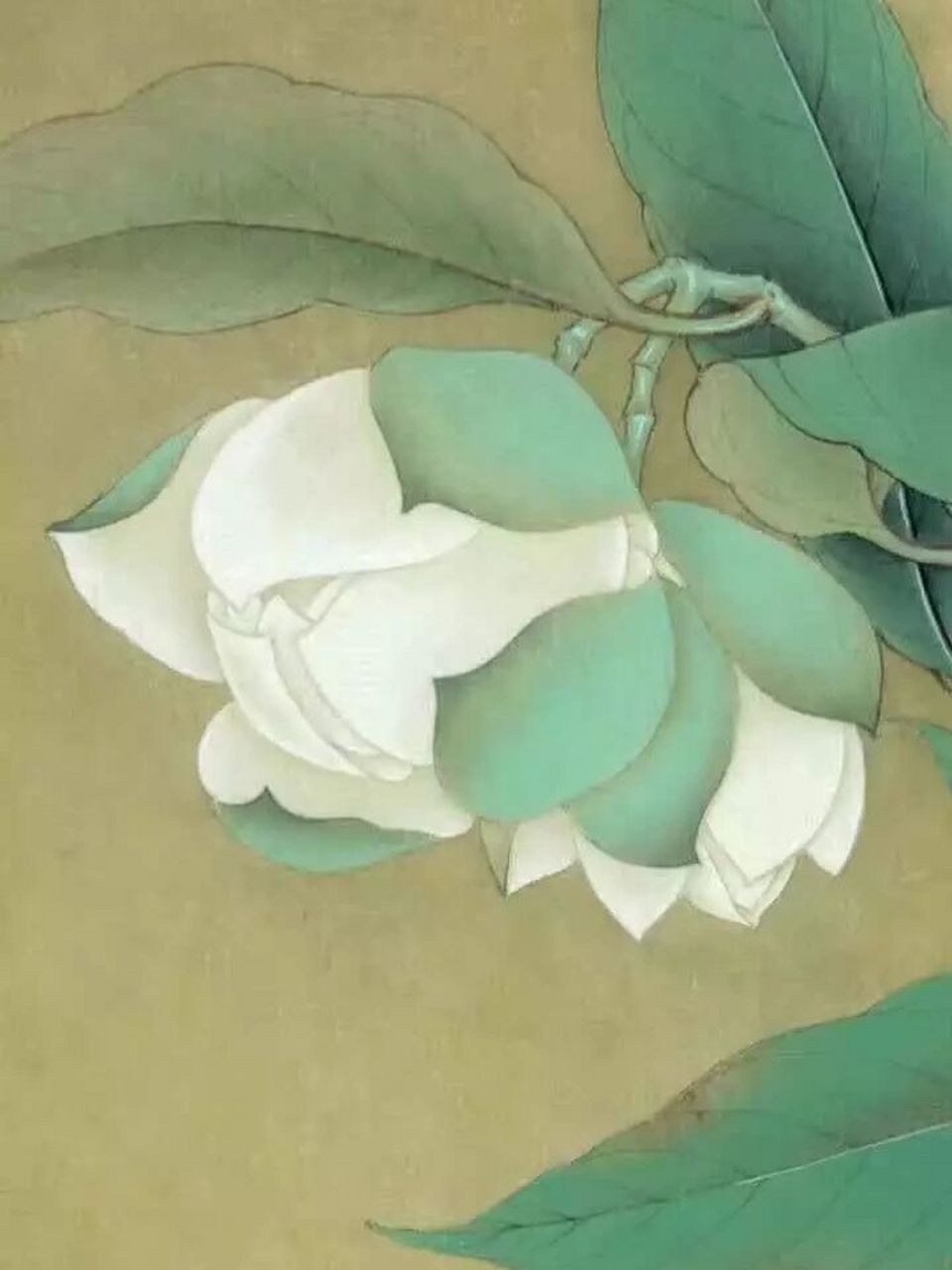 工笔画步骤分享《临宋夜合花图》 李晓明《临宋夜合花图》绘制步骤