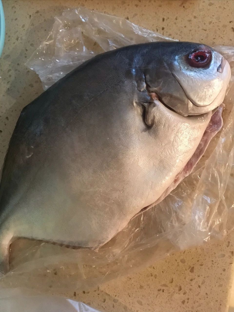 求助,为啥买的鲳鱼眼睛是红色的?