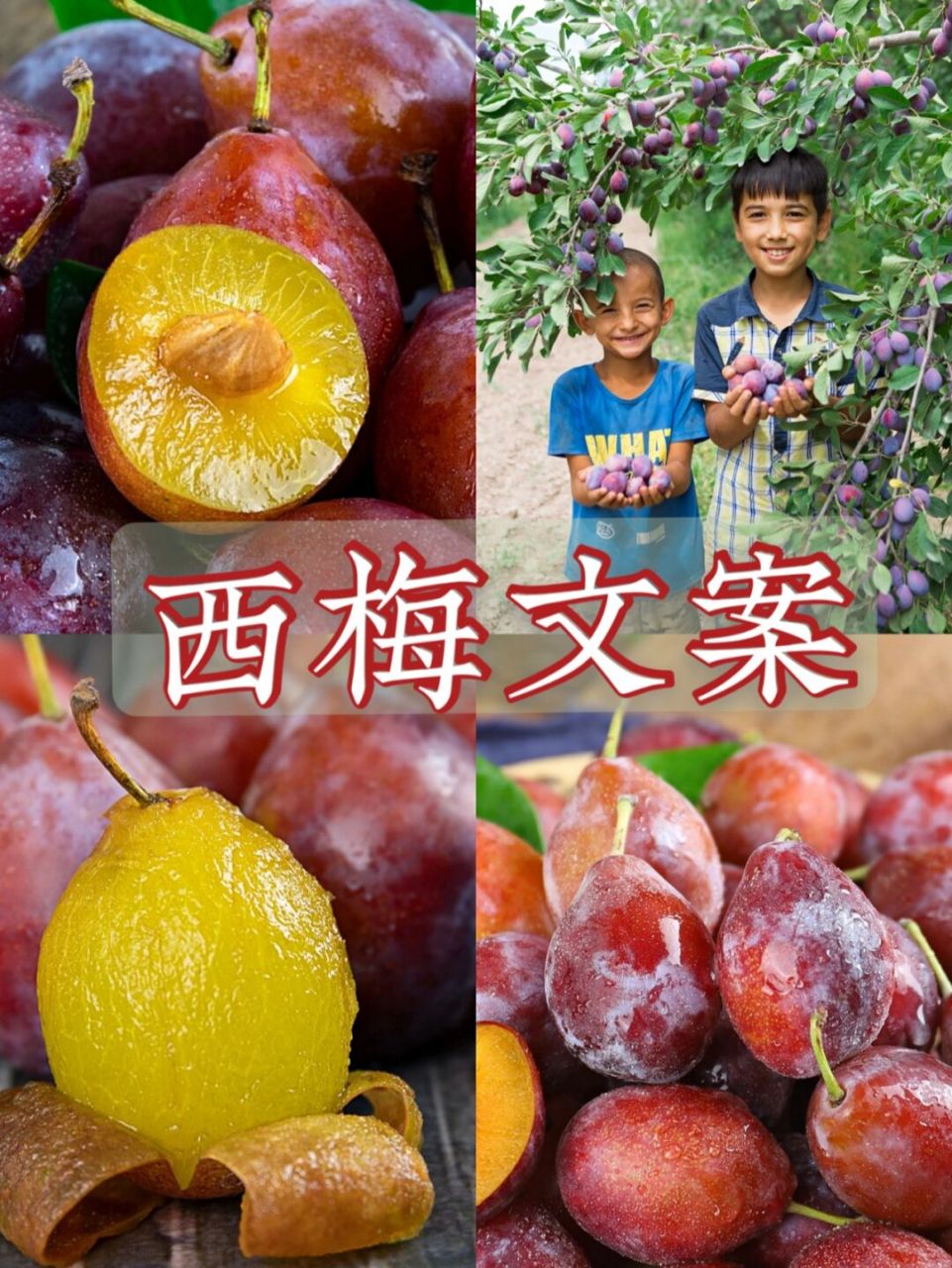 西梅文案|"西"欢你"梅"道理 嗨喽,我是青云呀～ 今天出五条西梅文案