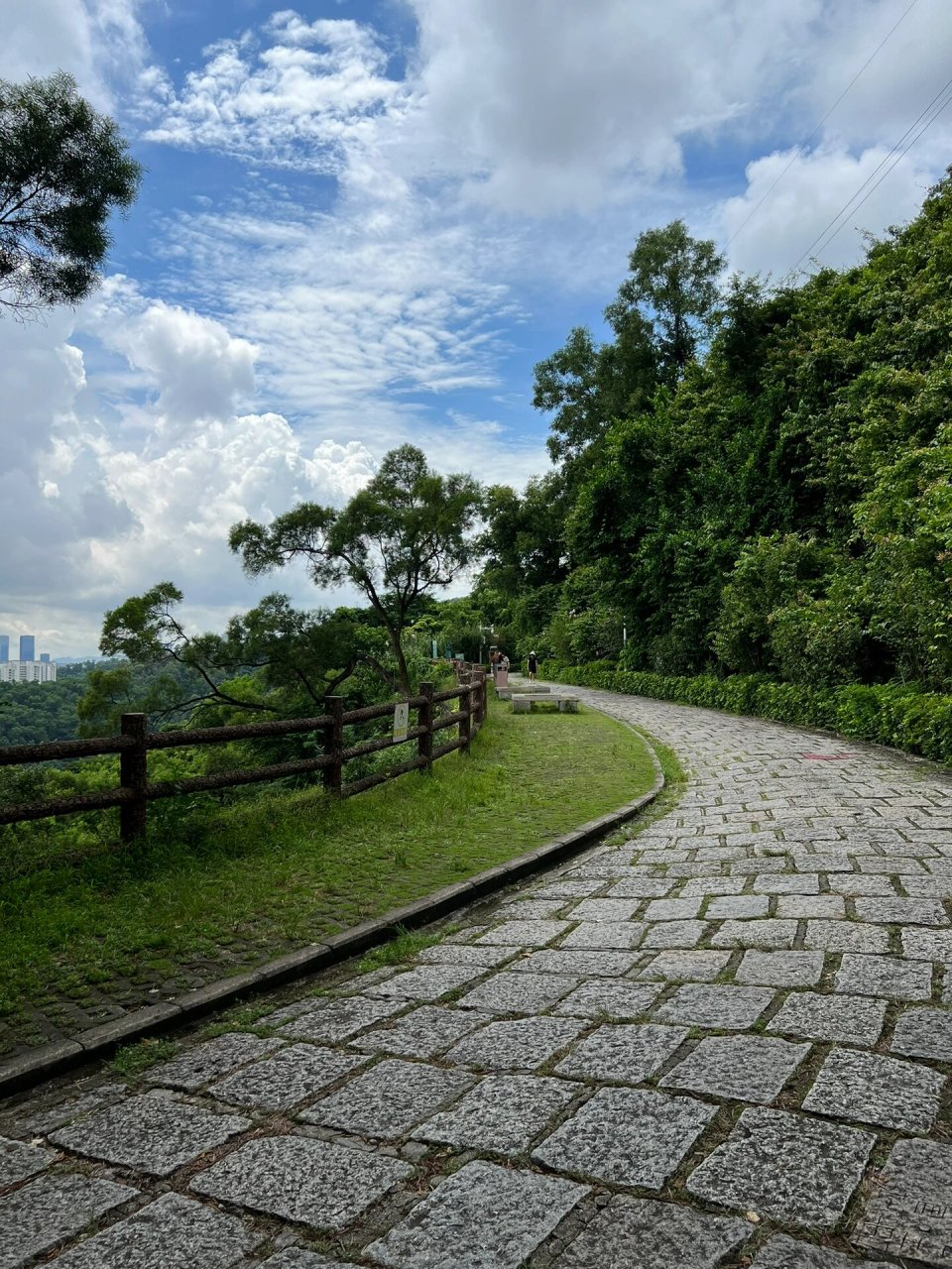 深圳梅林绿道徒步,绿色山野,炎热自在 梅林绿道每年至少会徒步两遍 一