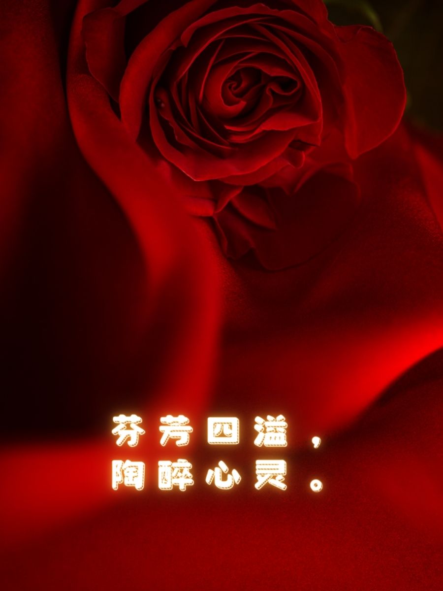 描写玫瑰花的优美句子  玫瑰花开,如诗如画.  鲜艳欲滴,似火热情.