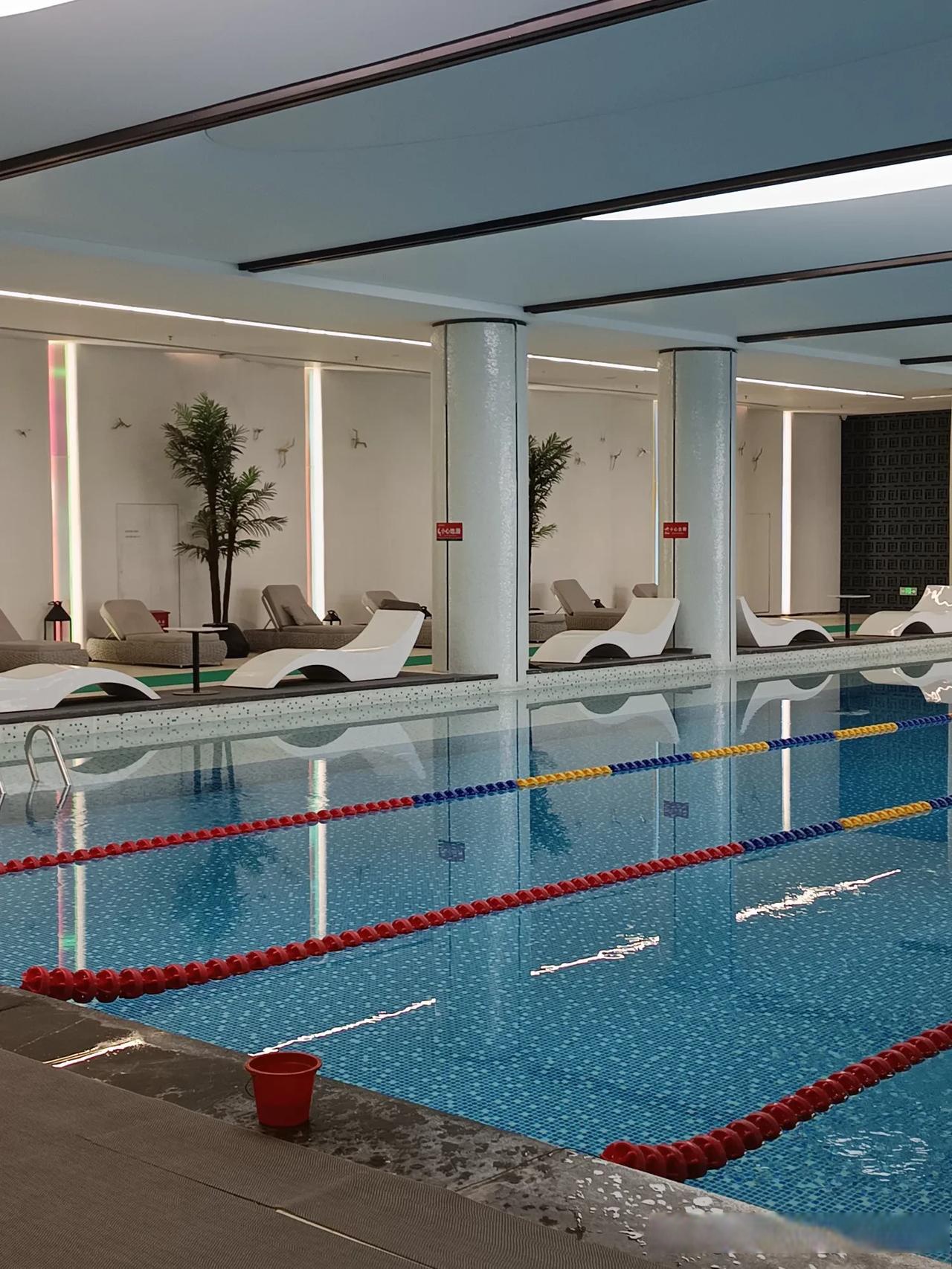 24°泳池温度,游起来太舒服了,今天的泳池总算有点温度了