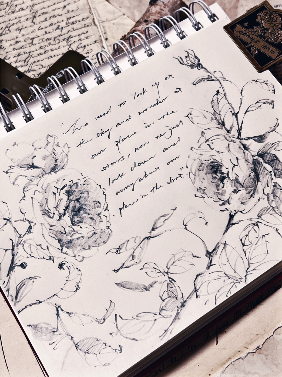 花卉速写 手绘玫瑰 铅笔植物写生 被玫瑰包围的诗篇 五一快乐