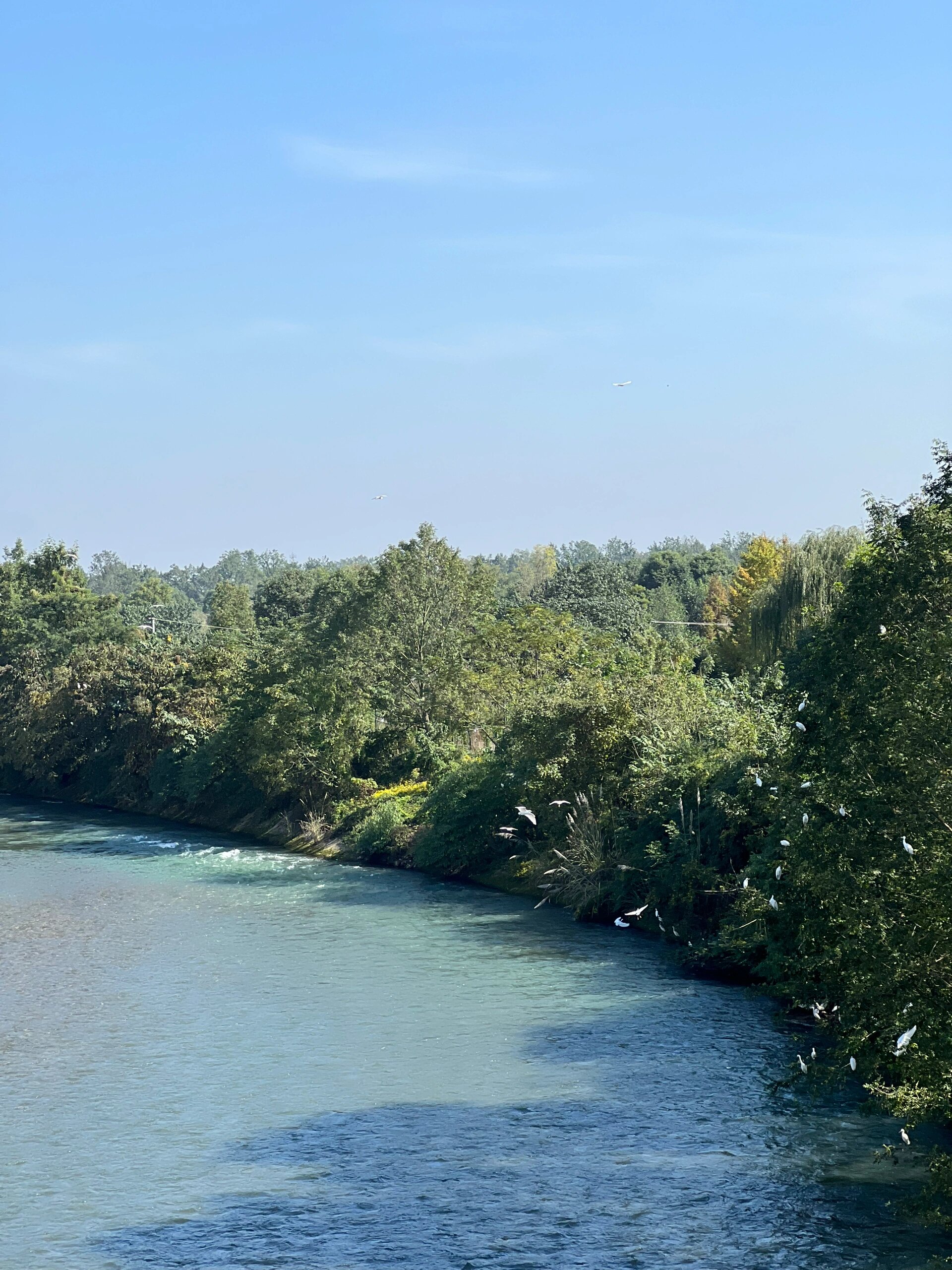 香草湖湿地公园图片