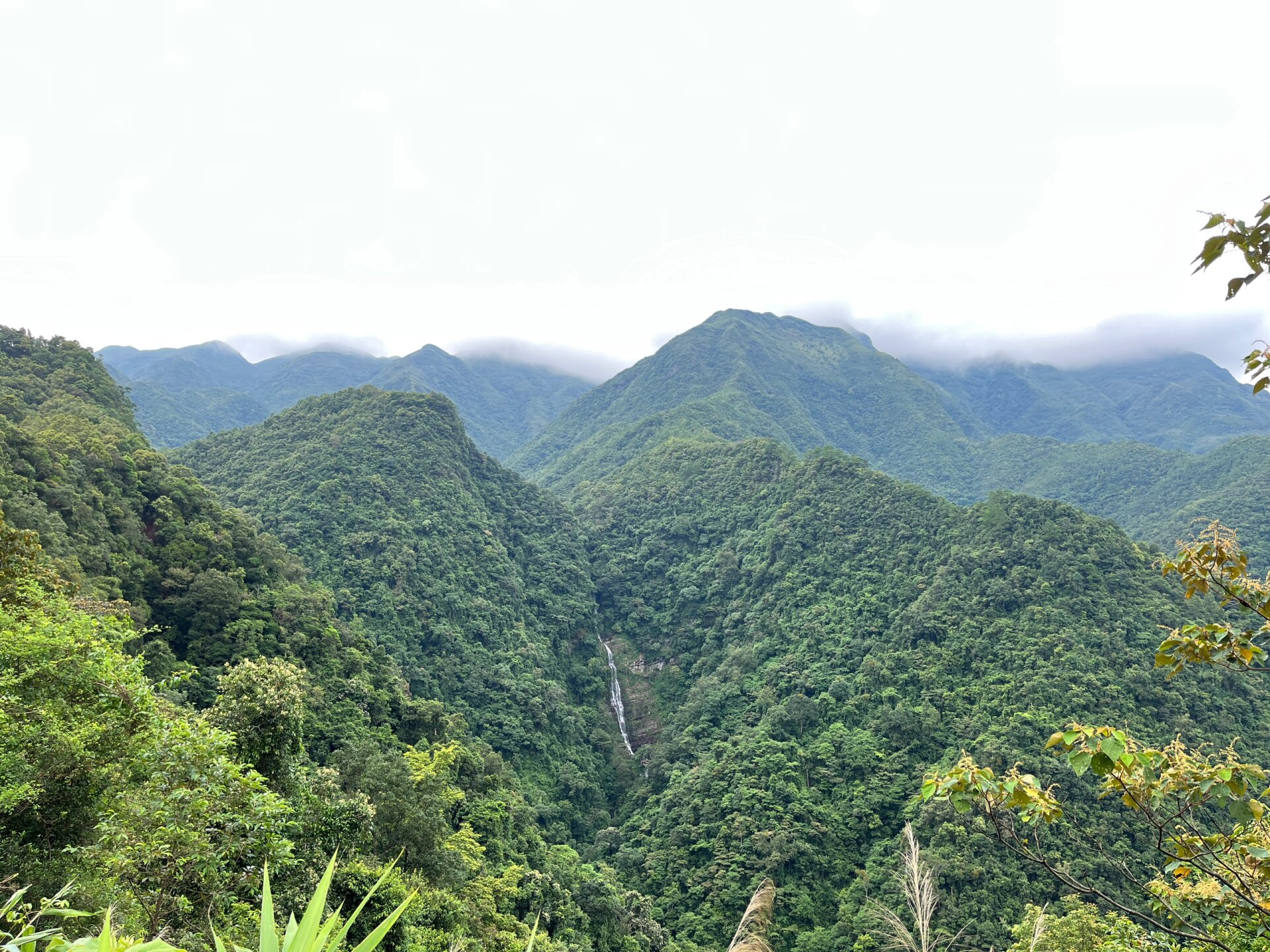 十万大山国家森林公园,费人!