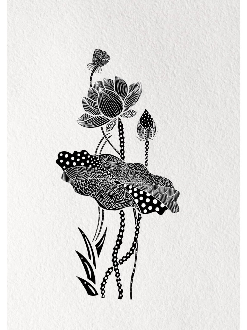 我的传统纹样课～荷花图 如有相似,尽请谅解 作业广泛参考了 工具