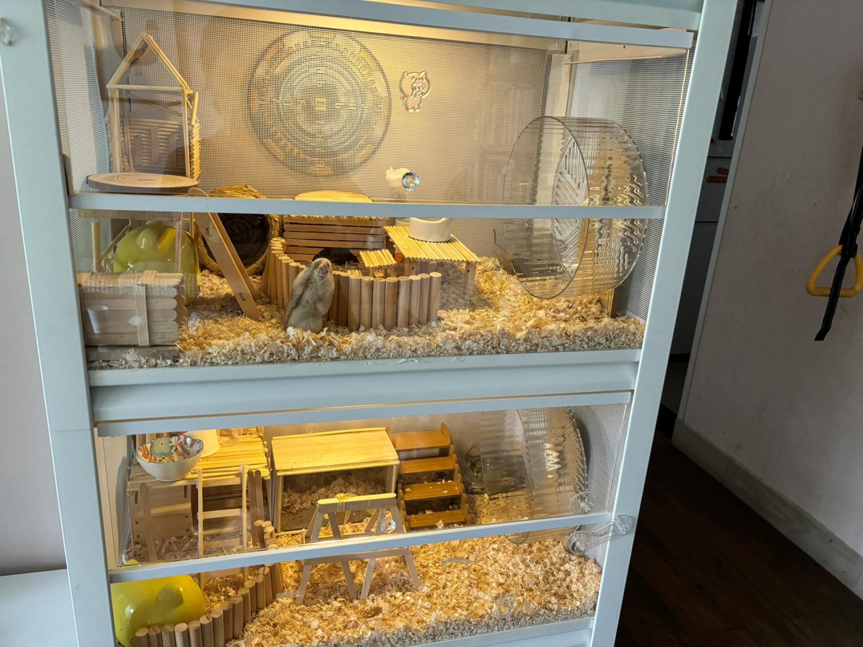 成本30077的自制仓鼠笼完工 历时一个多月,空笼成本30077,柜体70