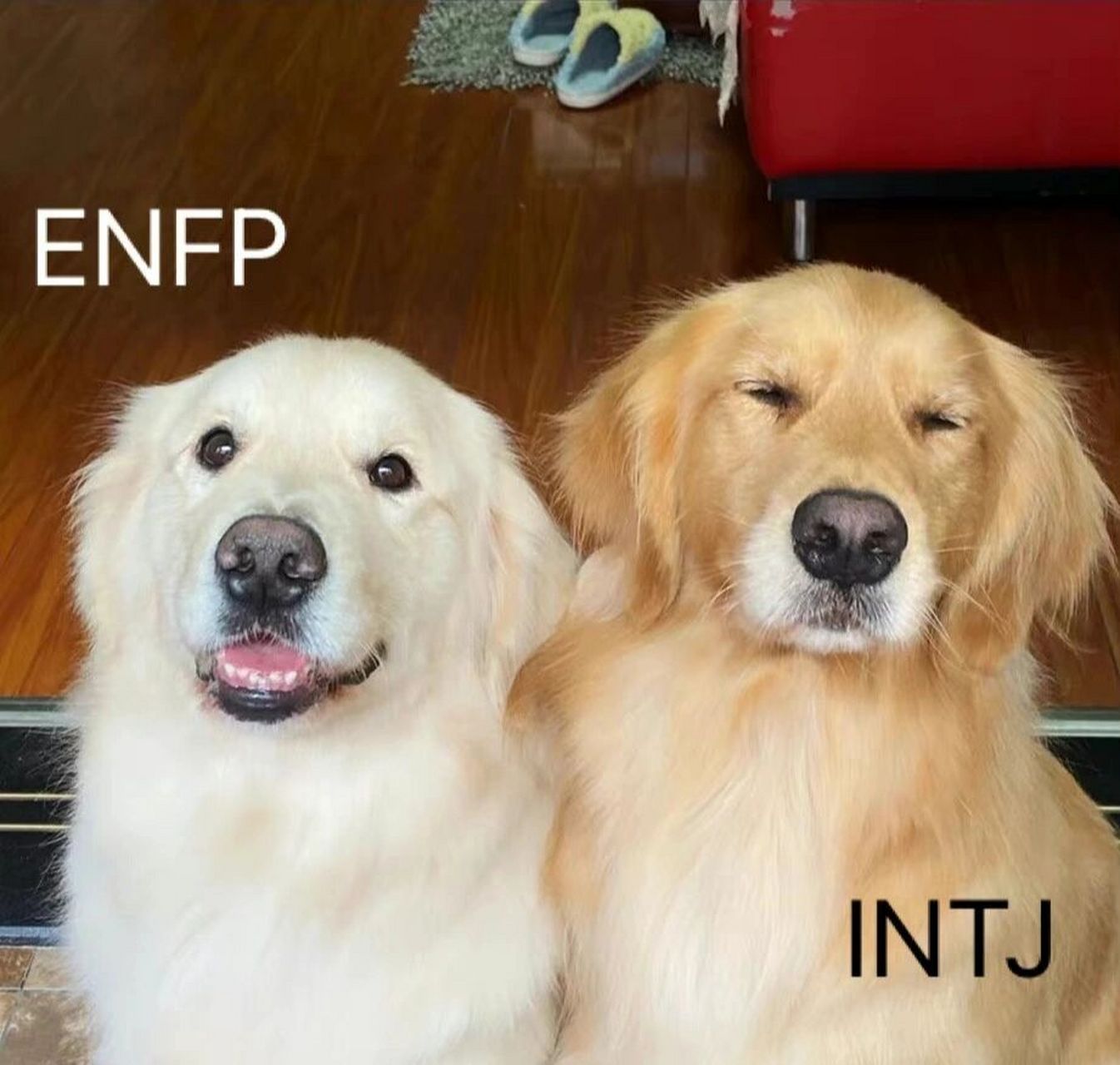 那些enfp教给intj的事 作为一个intj,我想和大家分享一下自己在enfp