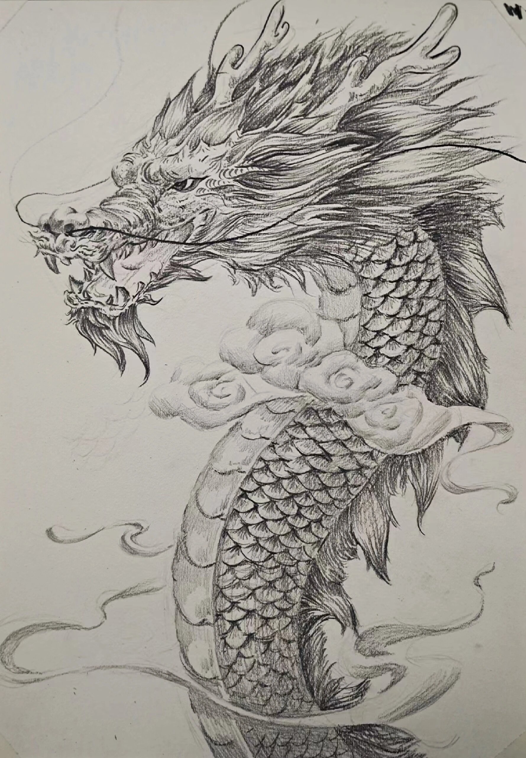 龙的简笔画霸气素描图片