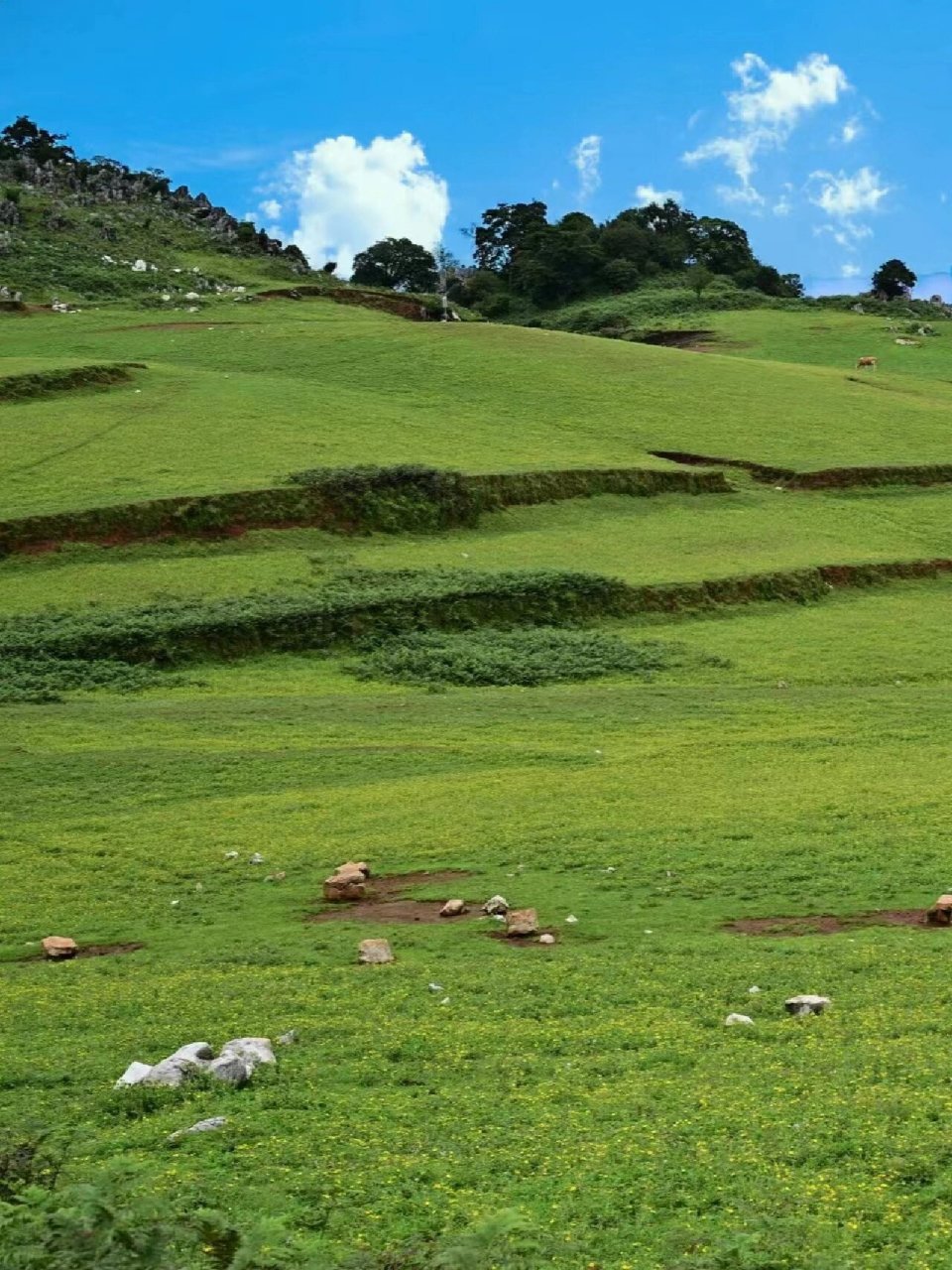 昆明小草原 | 么波冲,一眼万年的地方7215 么波冲92一个看一眼