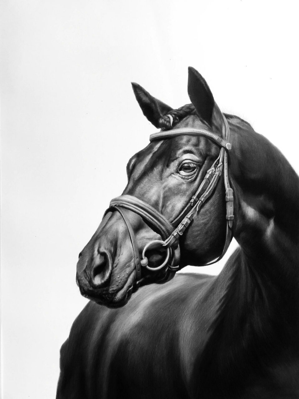 写实素描《马》