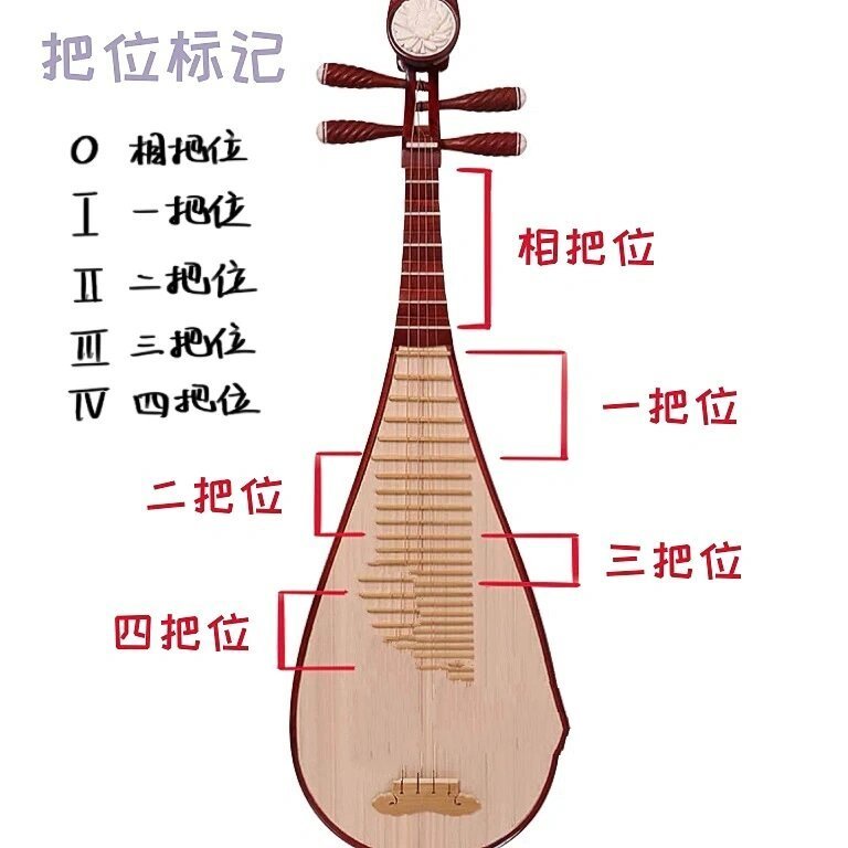 琵琶降b调音阶把位图图片