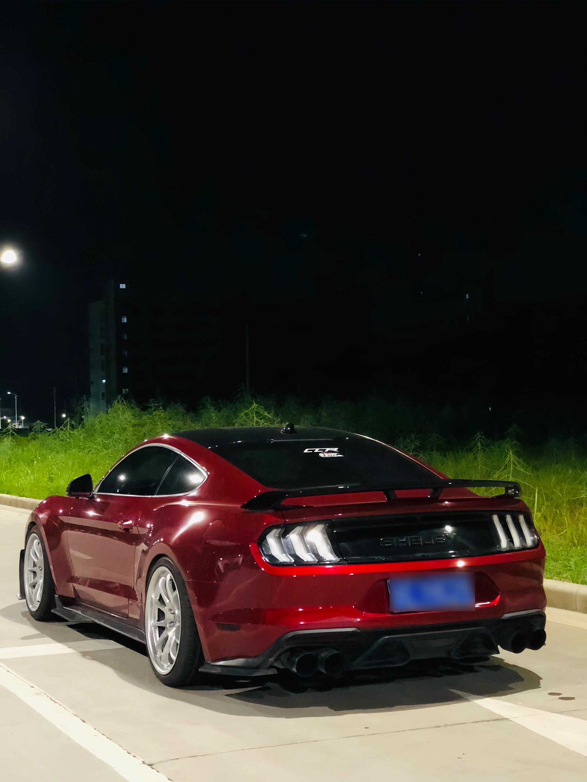 深深的爱上一匹马,一匹马的标志是什么车