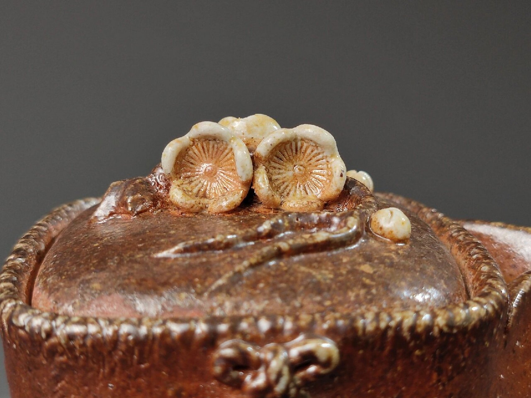 备前烧顶级宝瓶 入江光人司 日本备前烧 高人气大师 入江光人司先生的