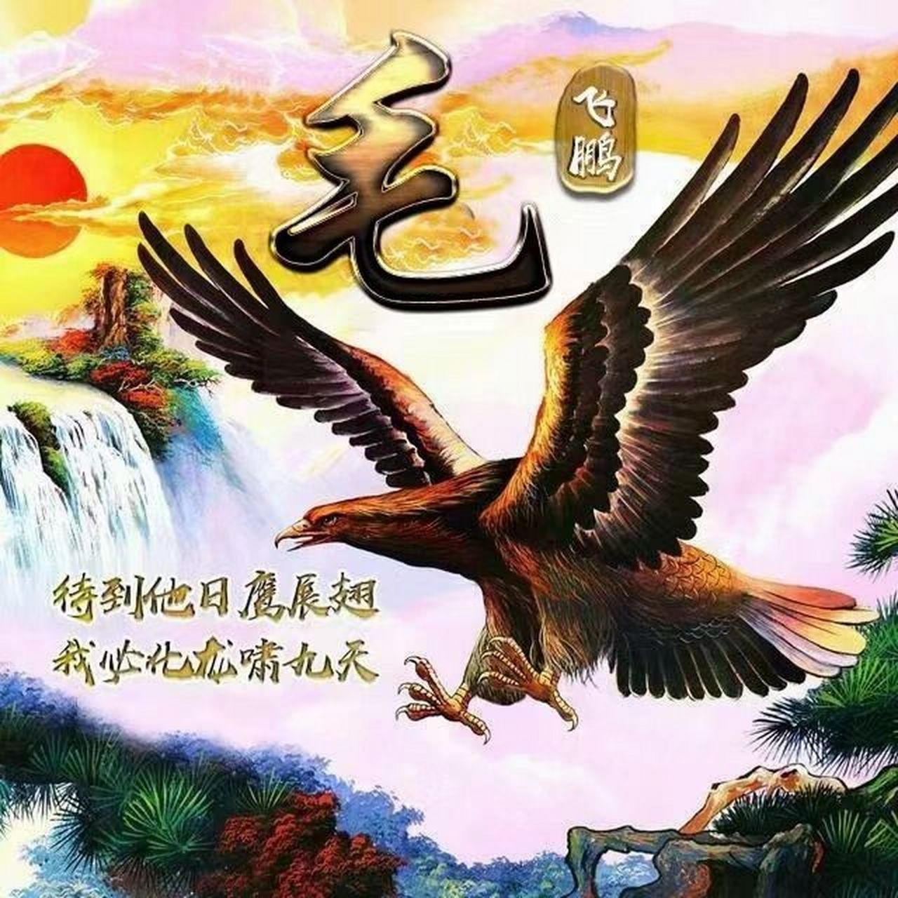 雄鹰展翅励志签名头像