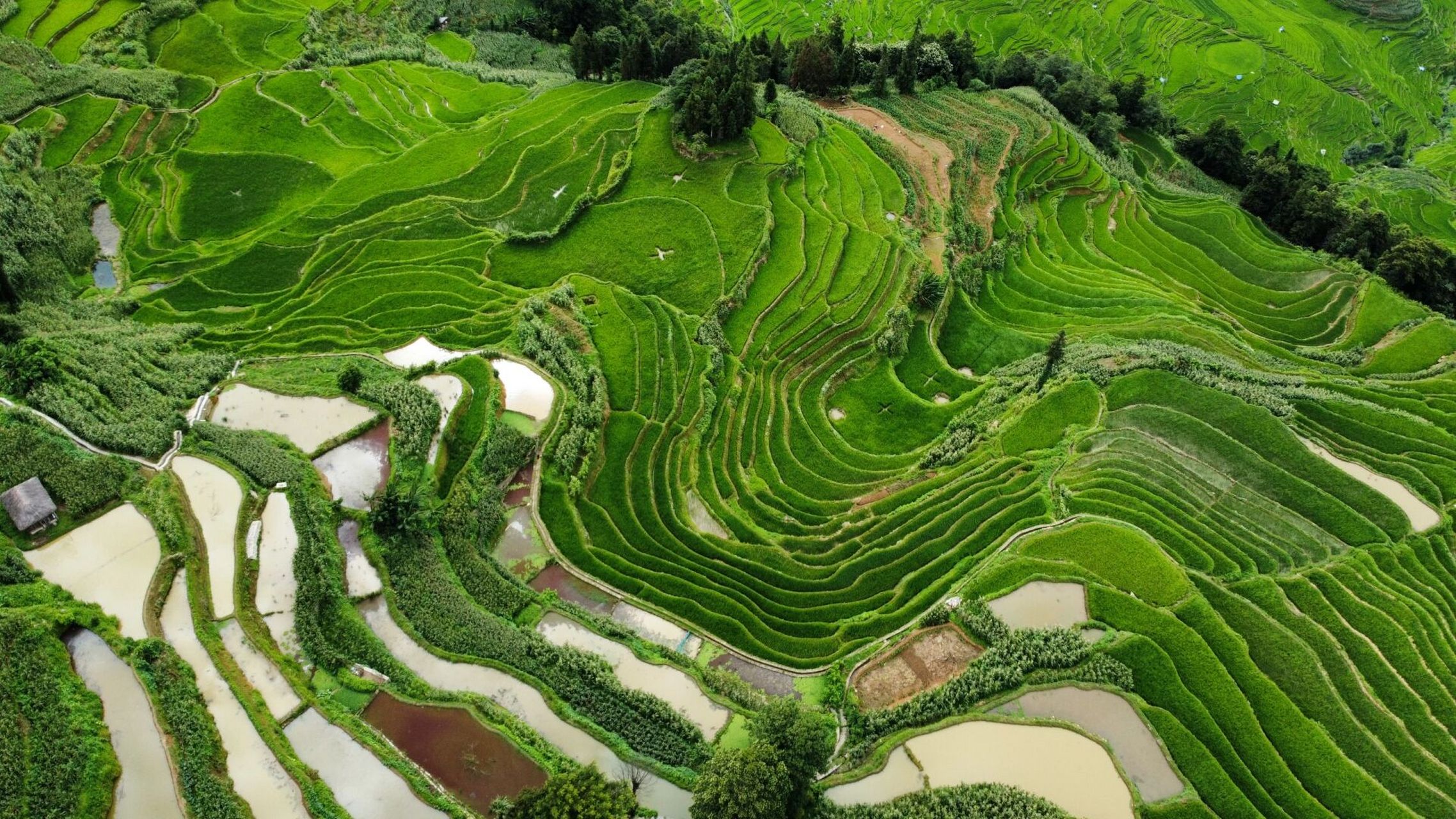 云南红河哈尼梯田 假期希望找一个小众人少,景色宜人的旅游景点,红河
