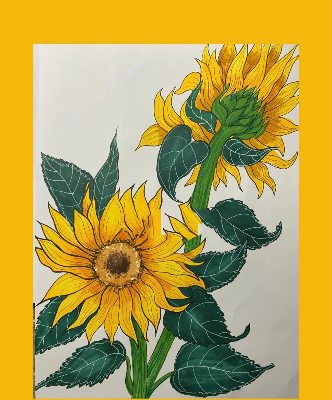 视觉传达设计考研,手绘马克笔——花卉植物篇