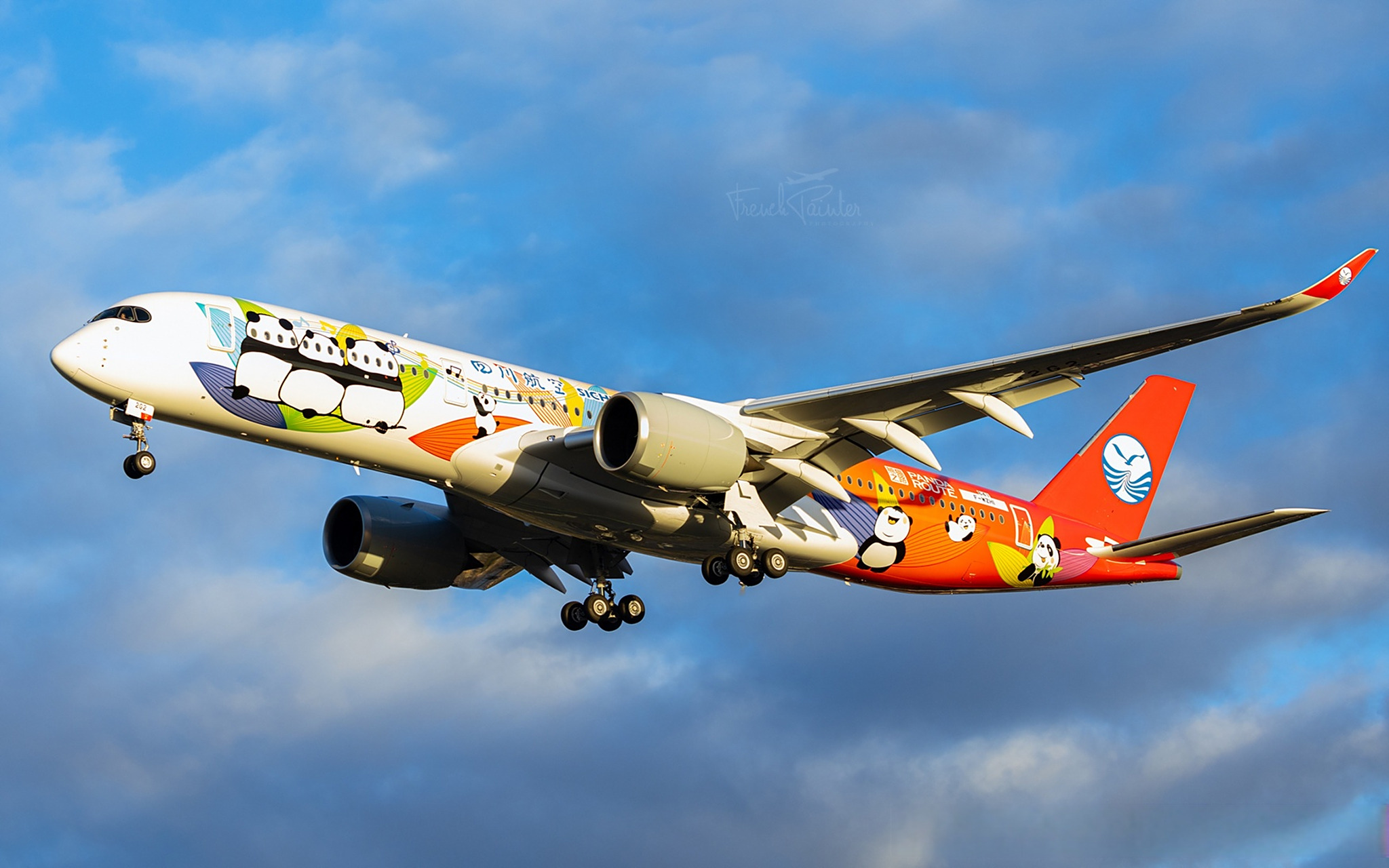 四川航空熊猫涂装a350在图卢茨试飞,作者frenchpainter spotting