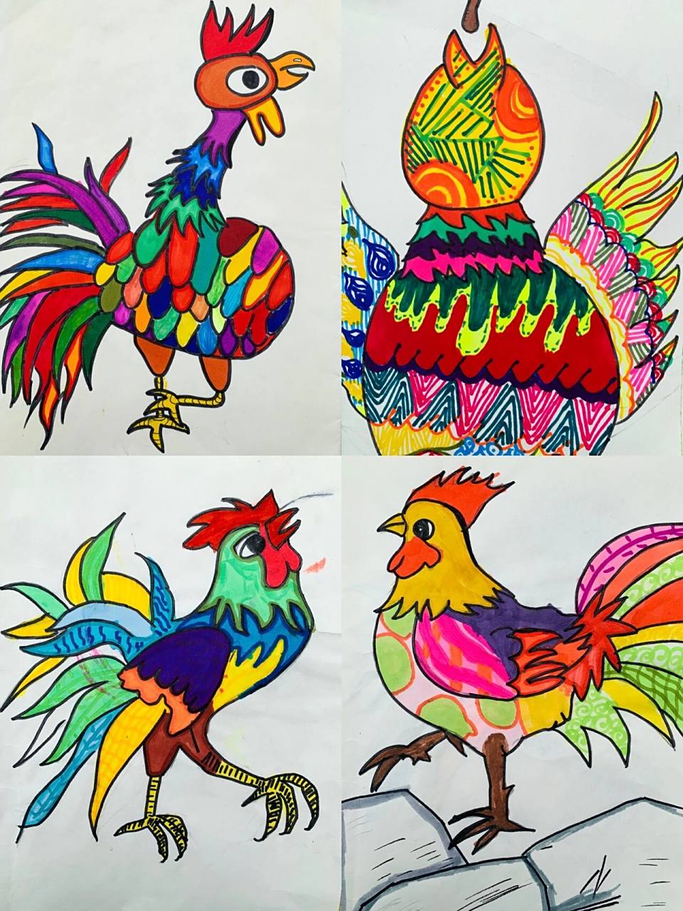 四年级·下册《艳丽的大公鸡》学生作品 96这节课上之前就组织学生