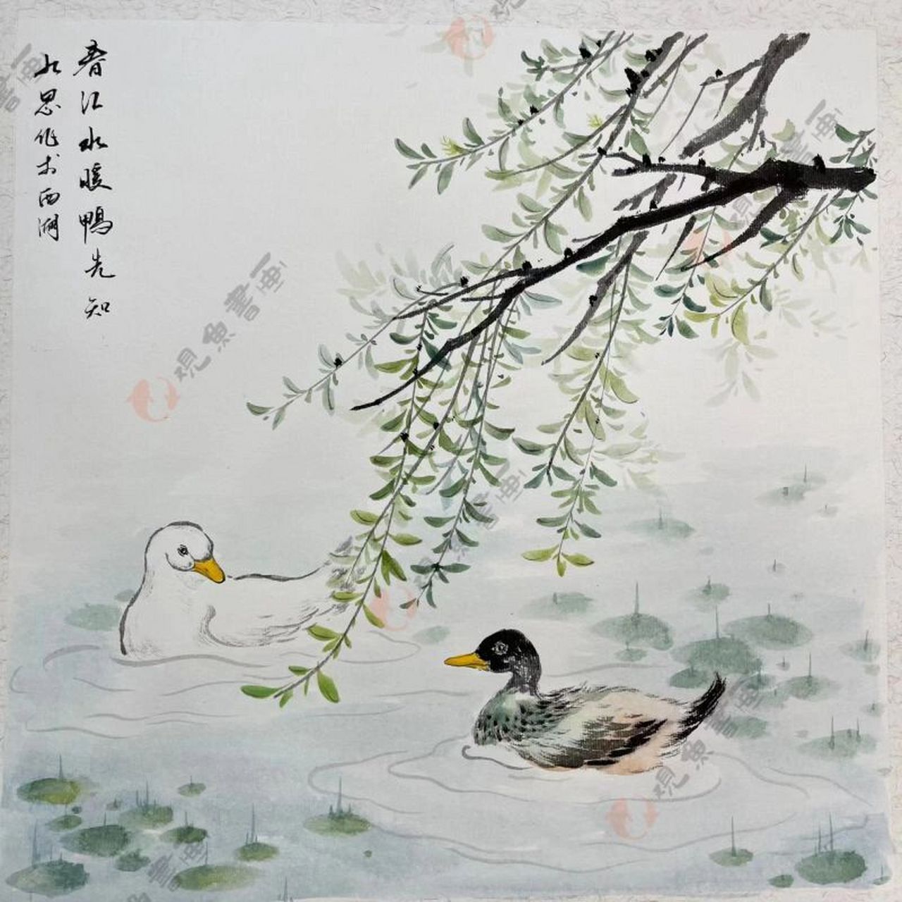 花鸟画国画步骤过程 课后小结柳枝,柳叶:画面右上侧起笔画柳树枝干