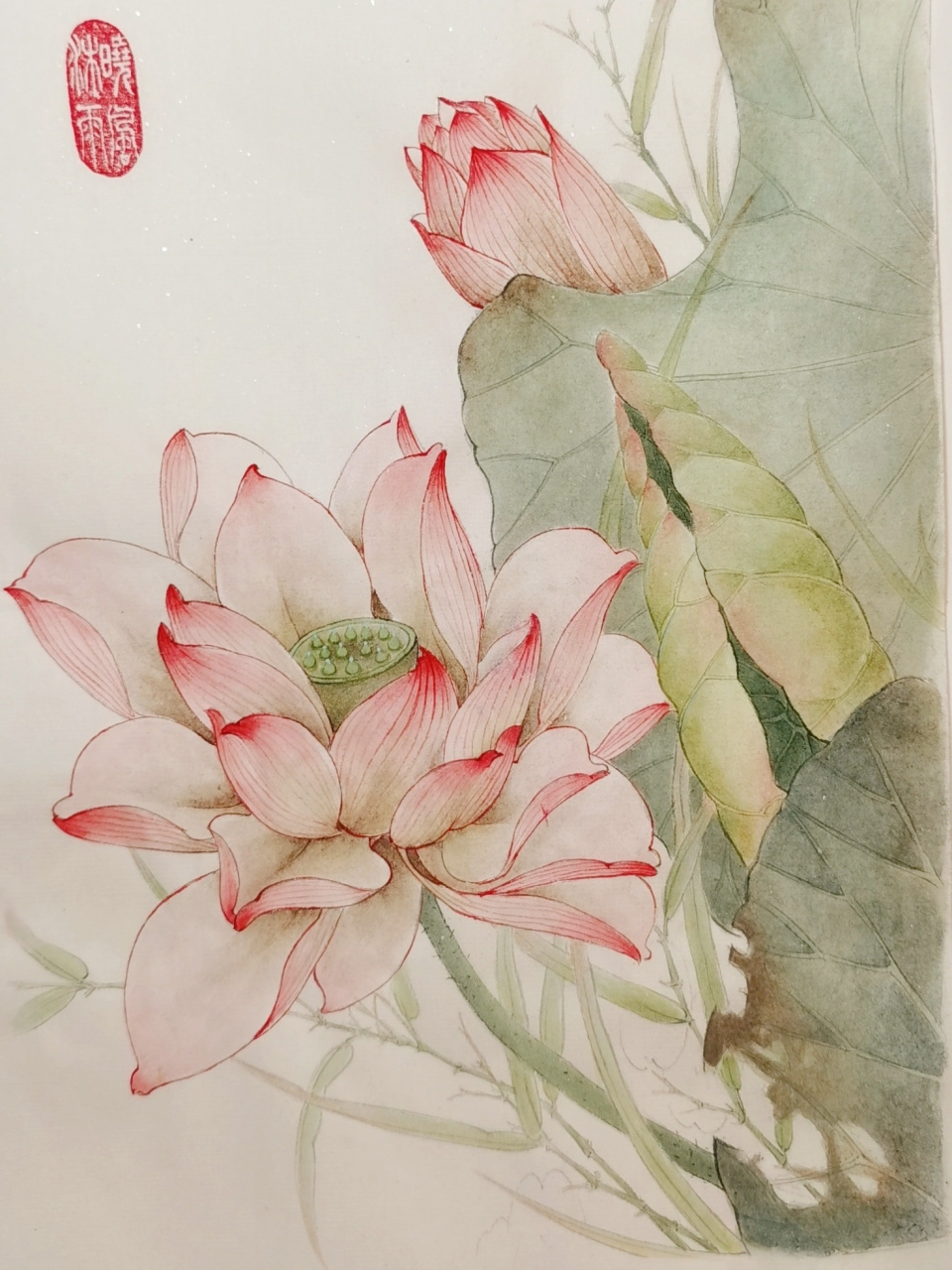 分享下原创配色思路和国画颜料的选择～ 92荷花的配色:调淡淡的曙红
