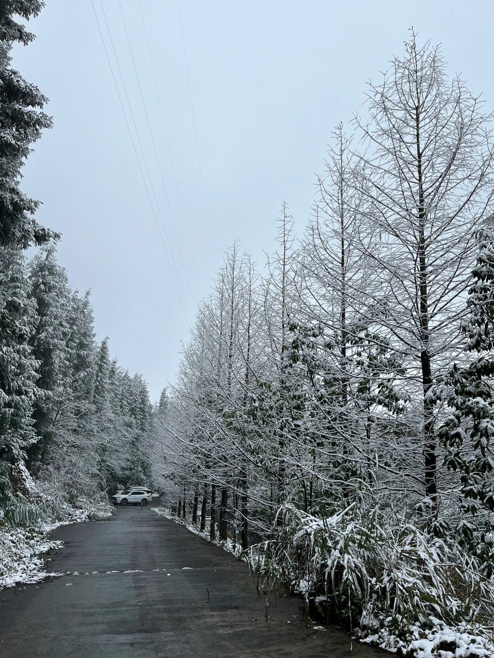 重庆渝北下雪图片