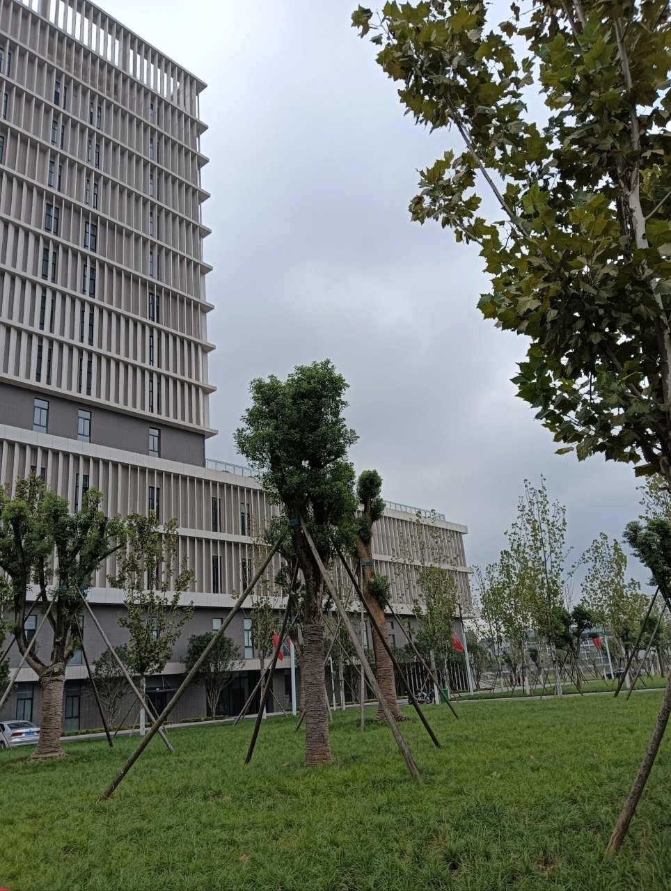武汉东湖学院照片图片
