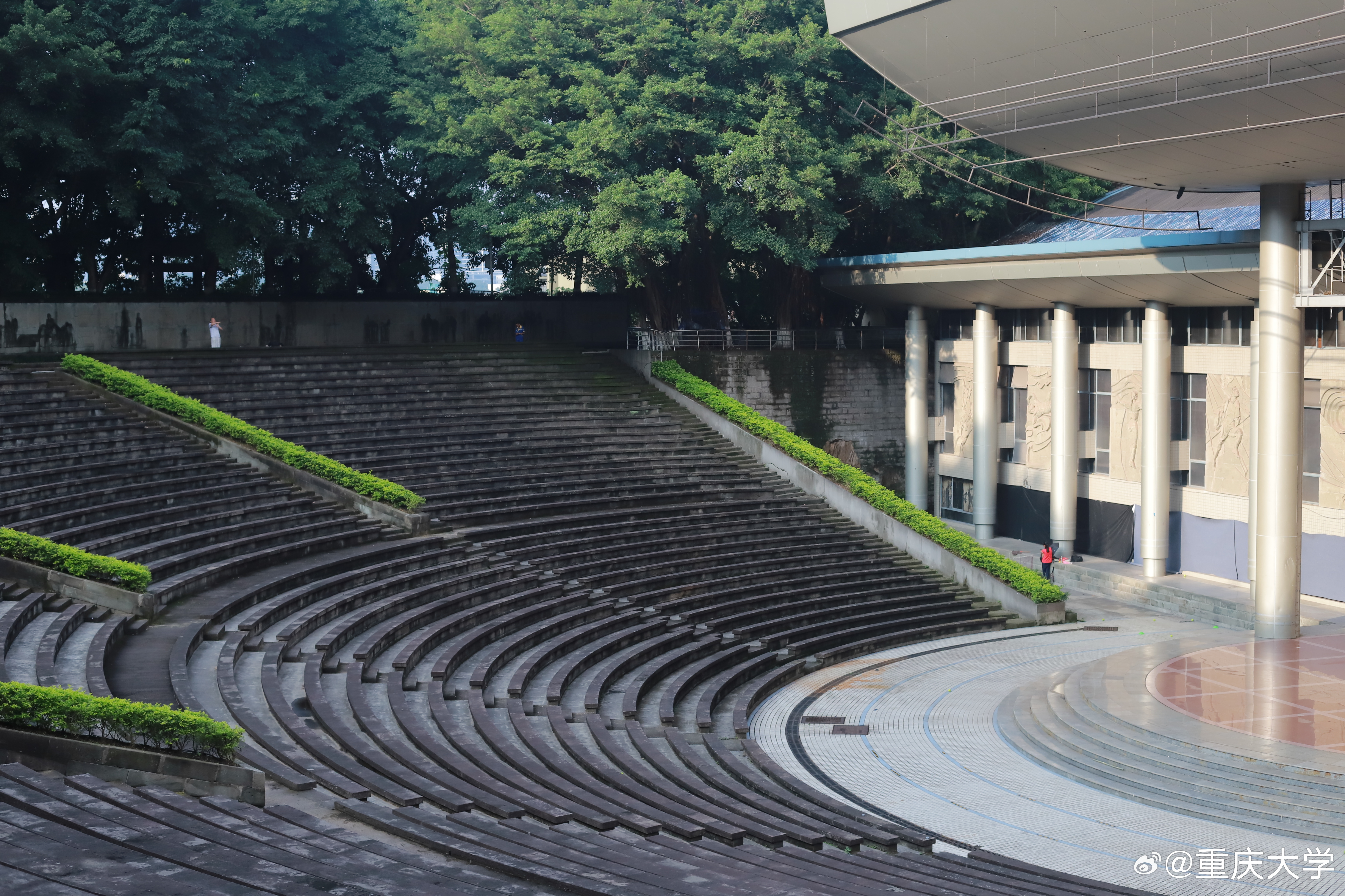 晚安,重大 "很多时候,我们只有选择拼尽全力,才有可能替未来的自己