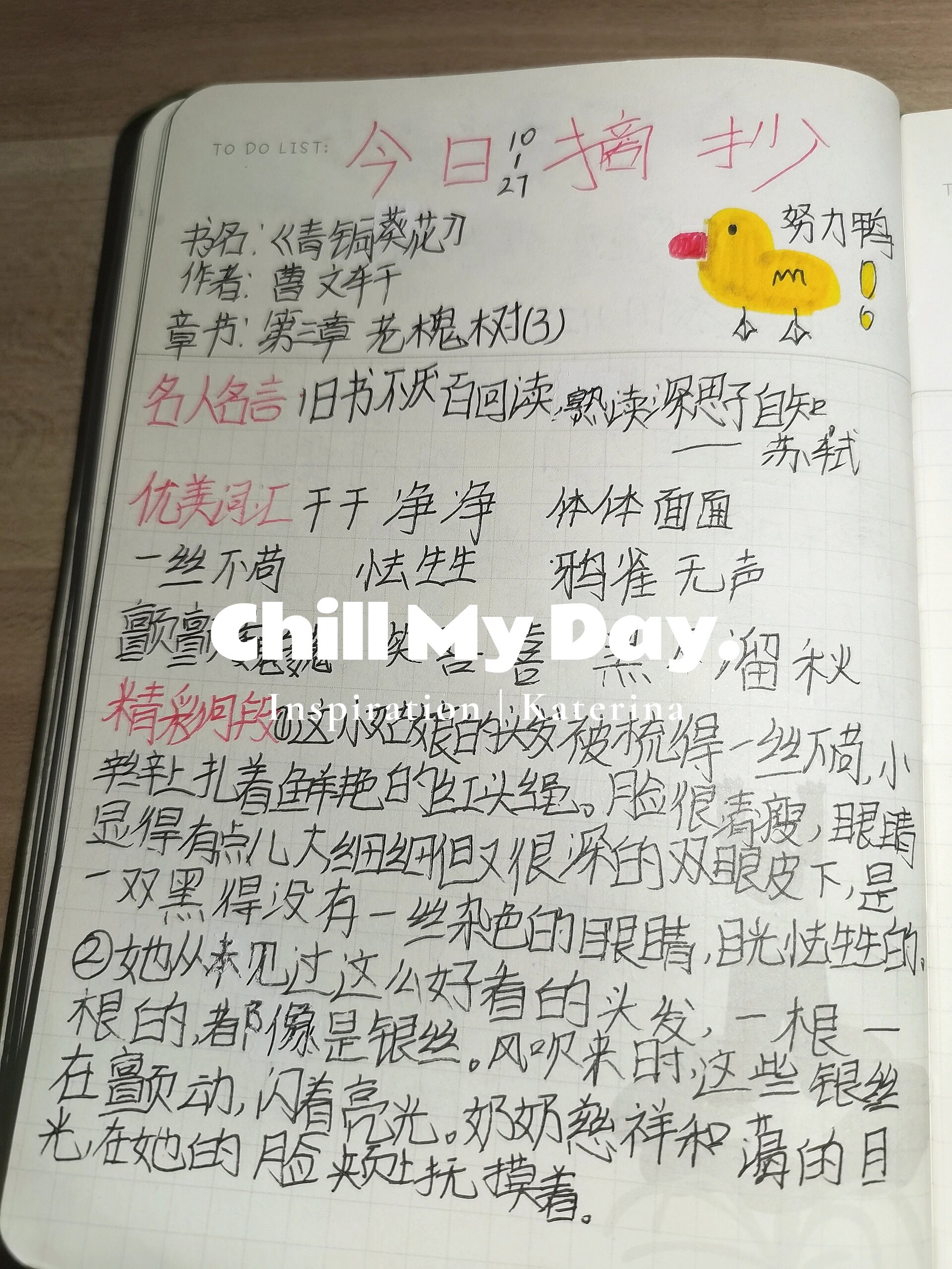 青铜葵花摘抄,第三章,老槐树