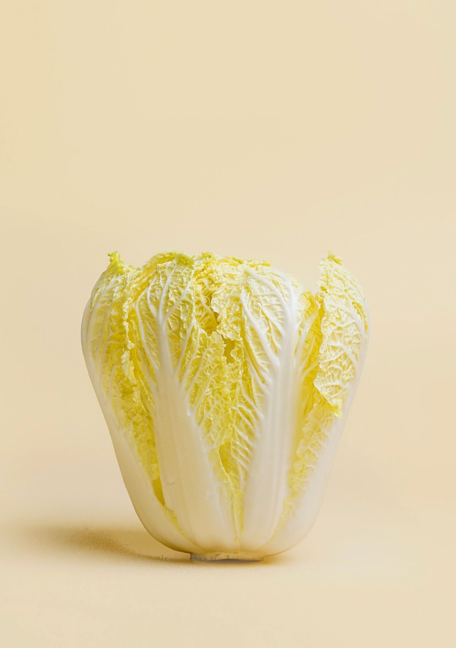 静物摄影|简约大白菜(附布光图) 如何拍出简约好看的大白菜图片,在