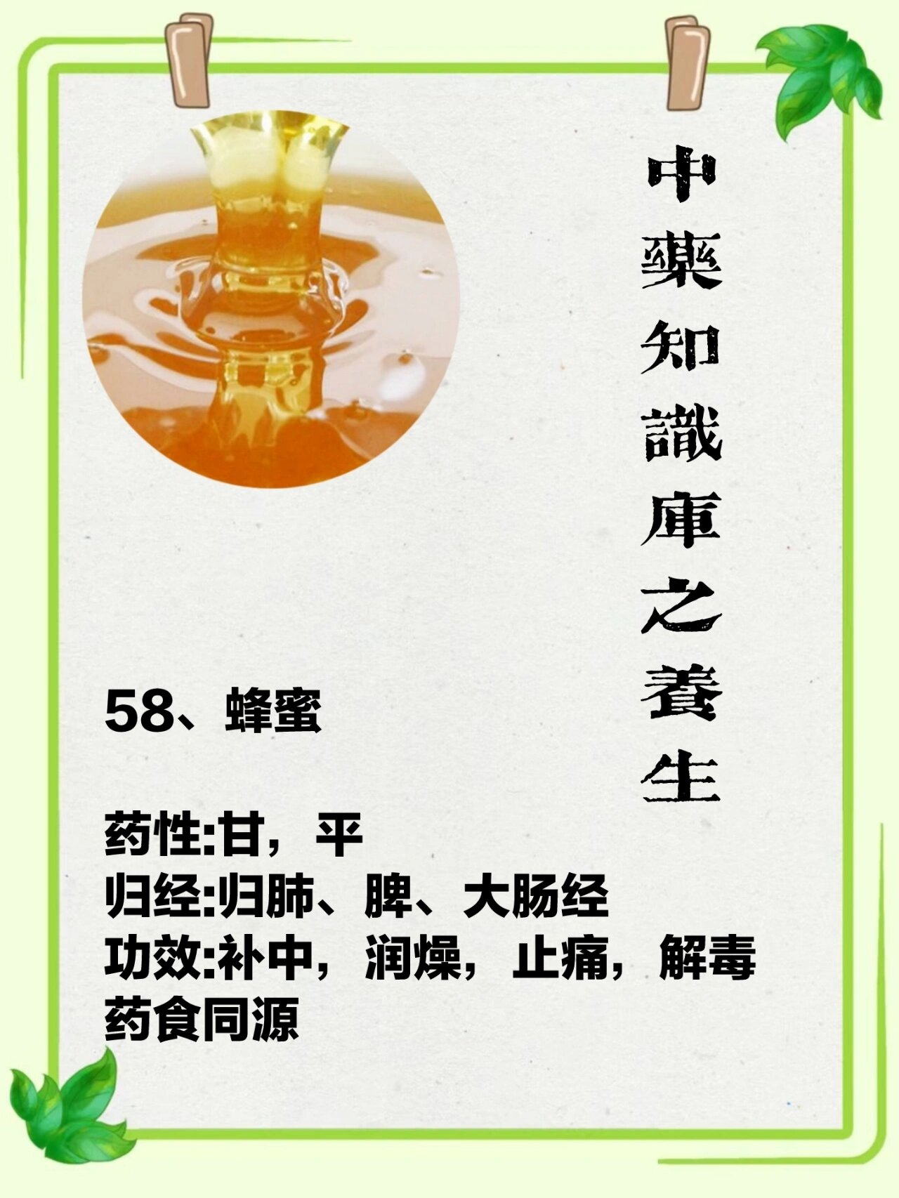 蜂蜜的功效作用与主治是什么(蜂蜜的功效与作用的功能与主治)