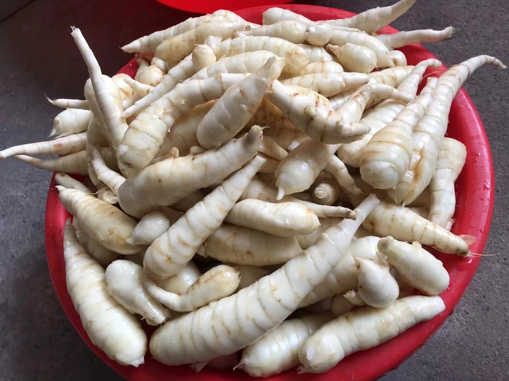 每天各种晒,蕉芋粉,竹芋粉,葛根粉,木薯粉