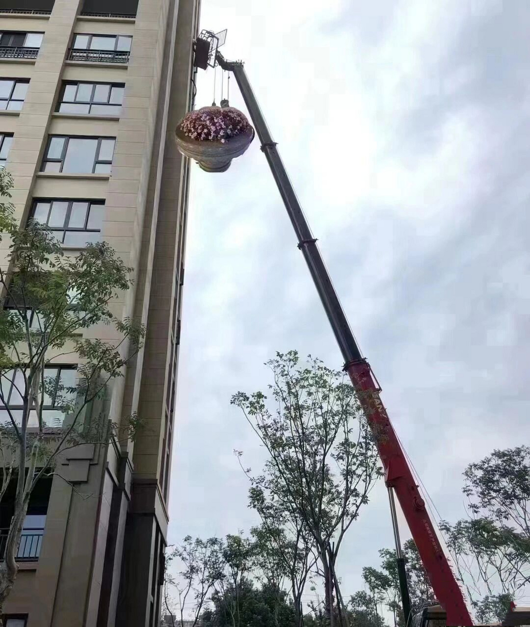 情人节花坛搬回家图片