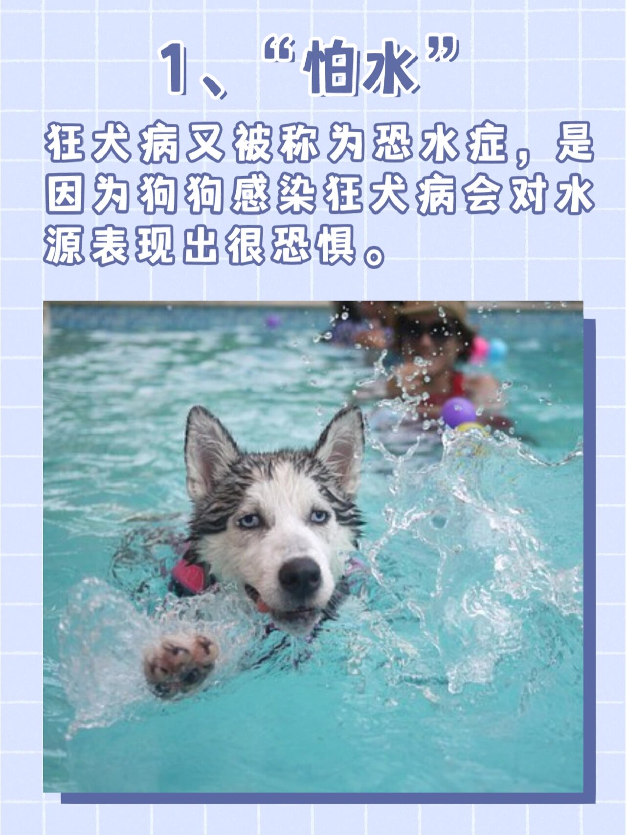 狂犬病发病症状前兆图片