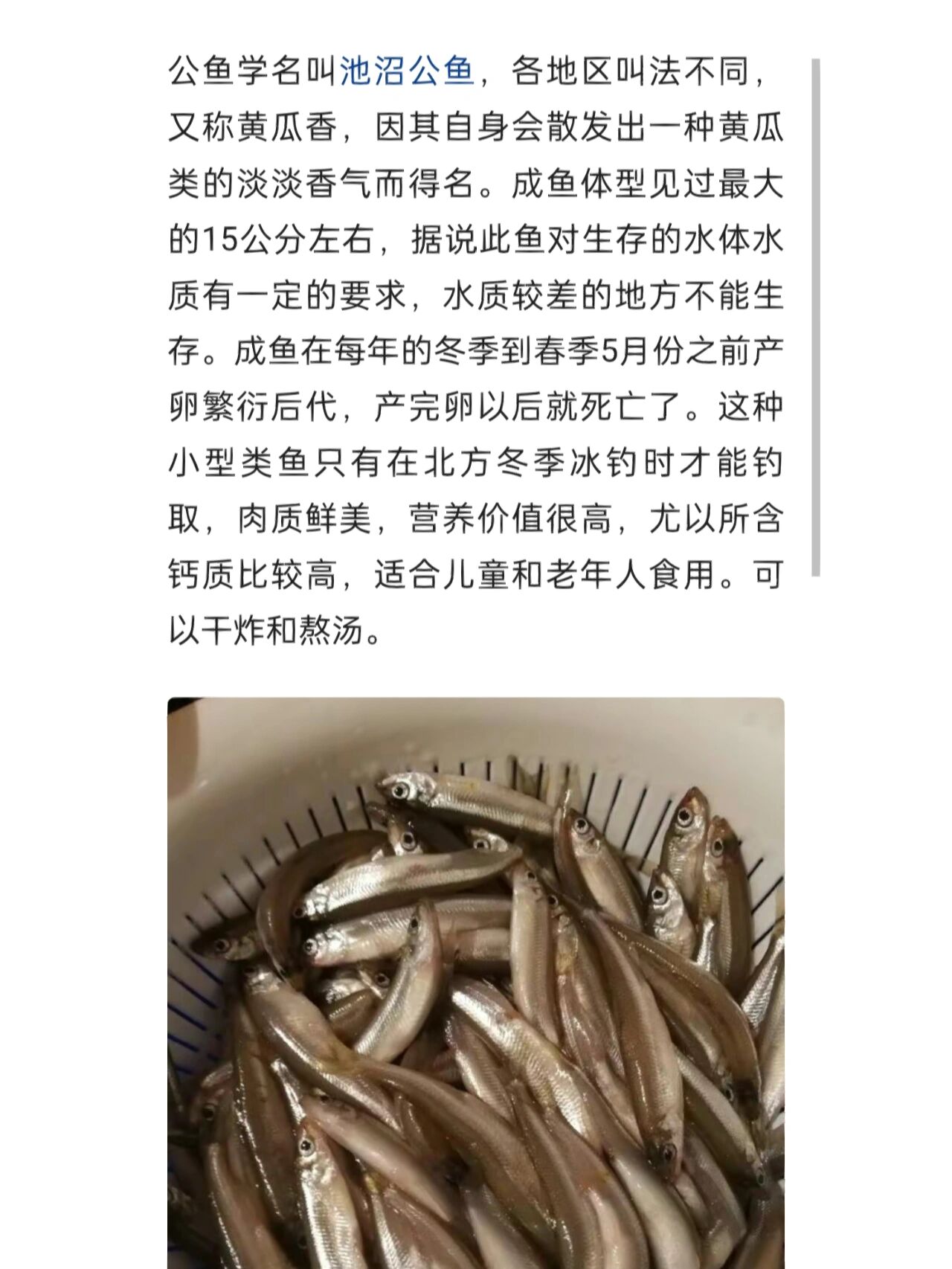 密云水库野生小公鱼   密云水库野生小公鱼 池沼公鱼肉质细嫩,清香鲜