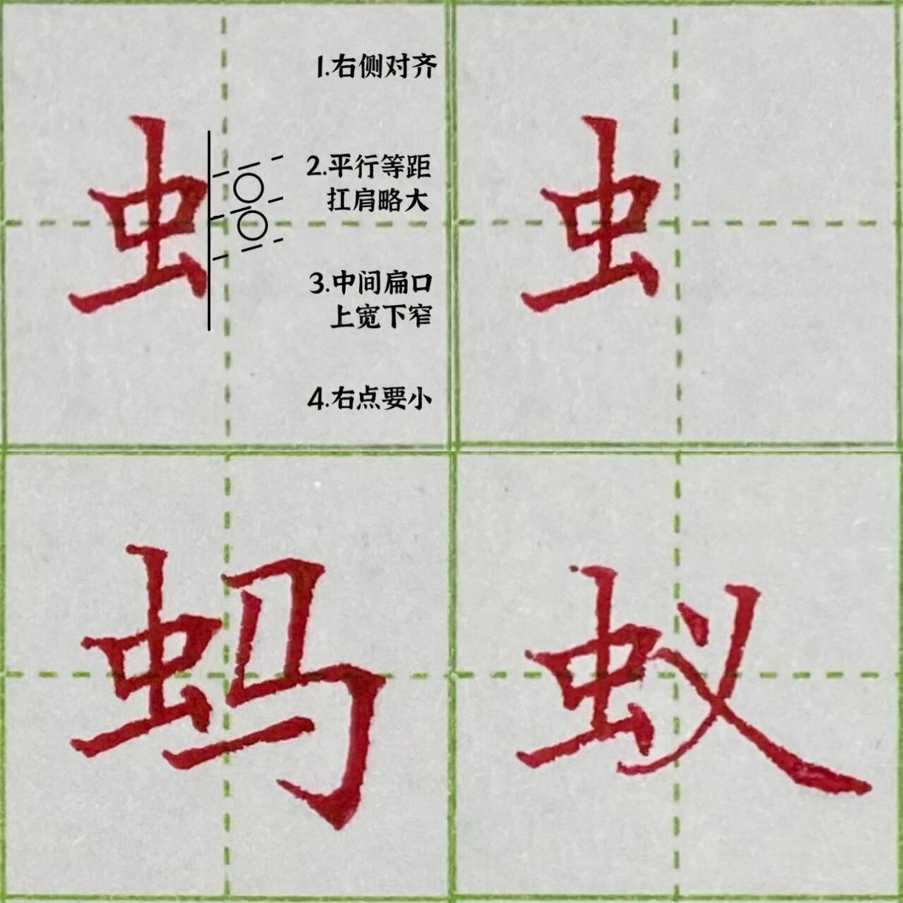 虫字旁的字大多图片