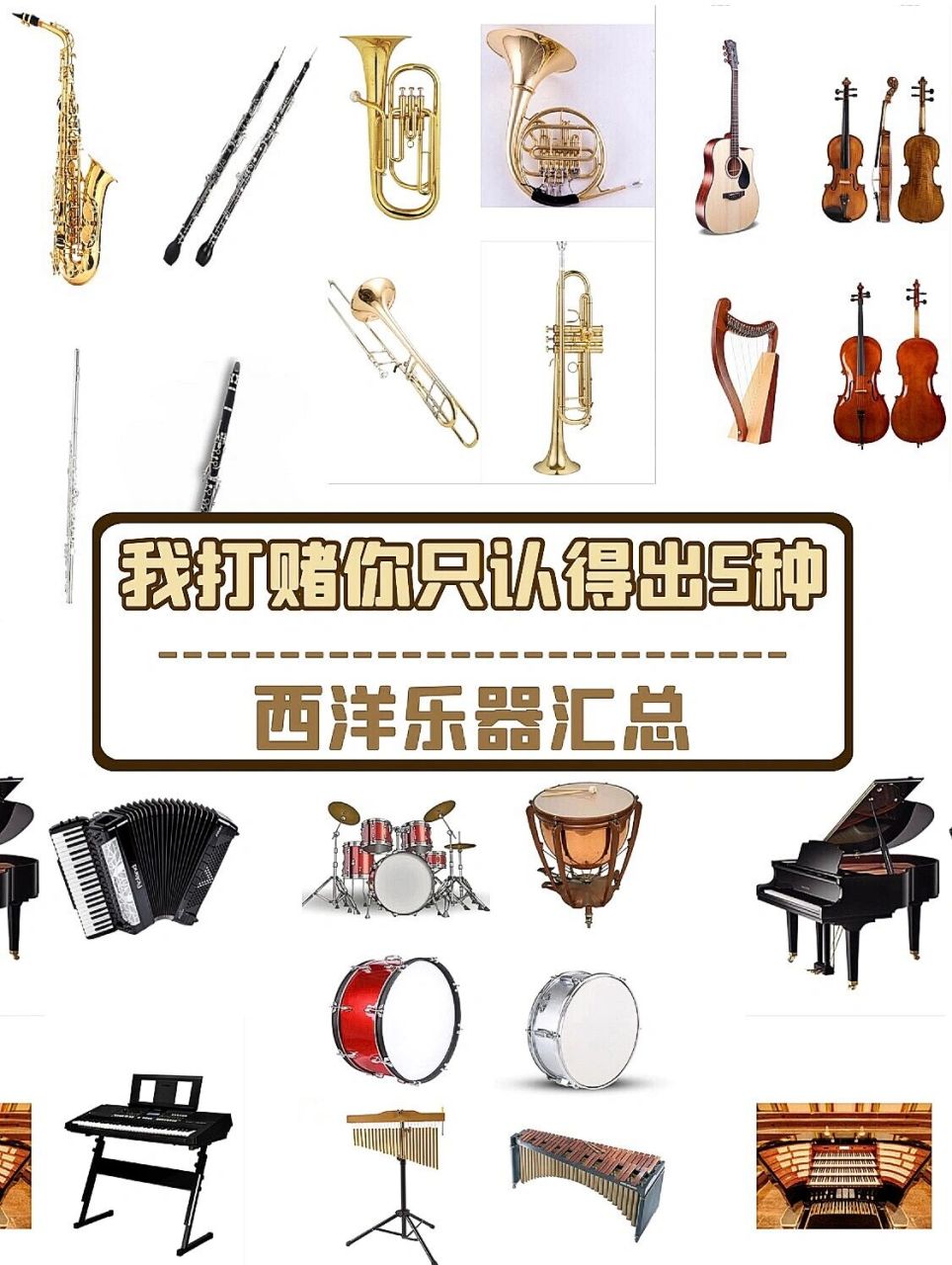 西洋乐器能认出5种以上的都是高手7515你呢 96西洋乐器源于18