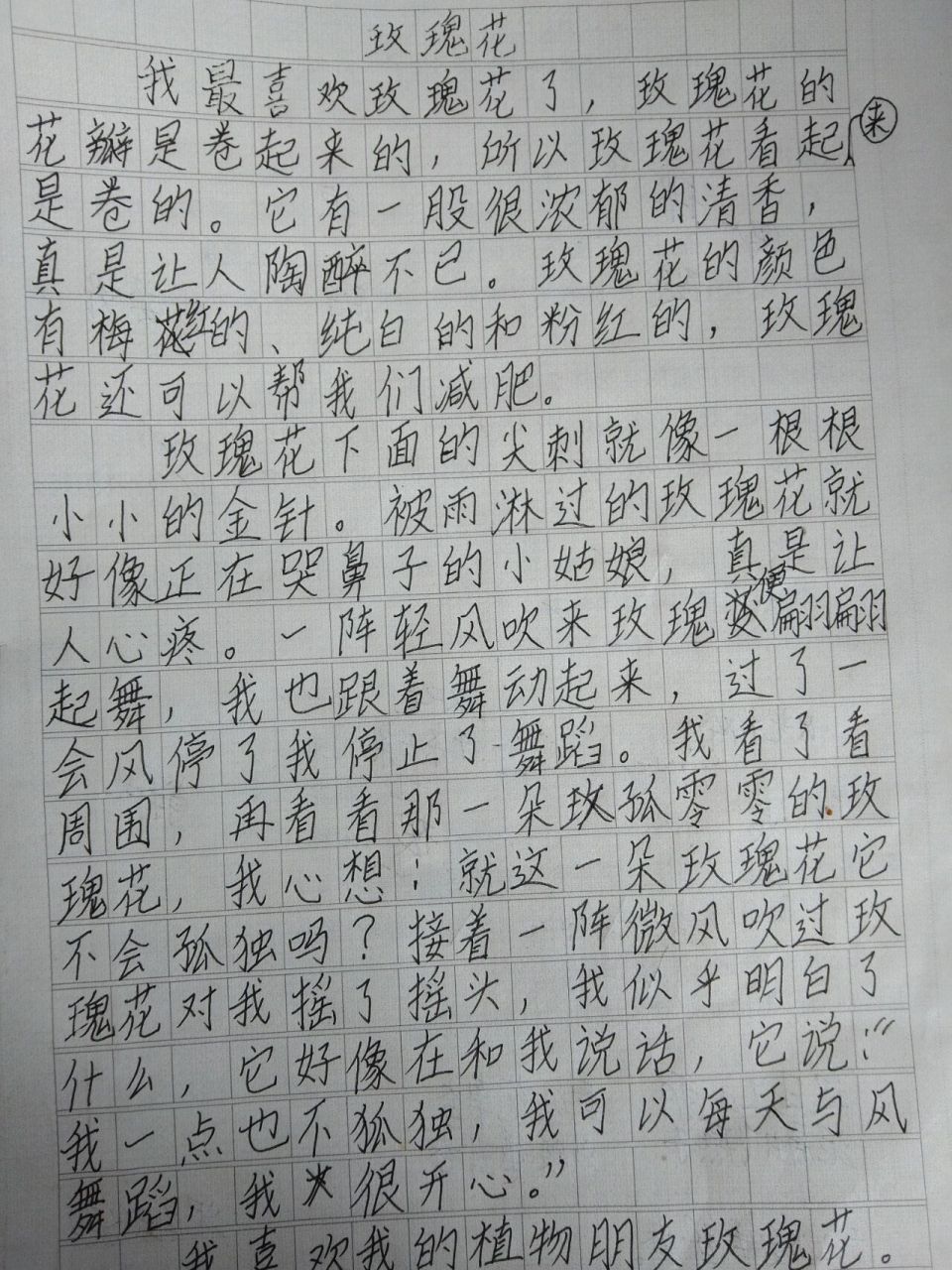 玫瑰花作文100字简单图片