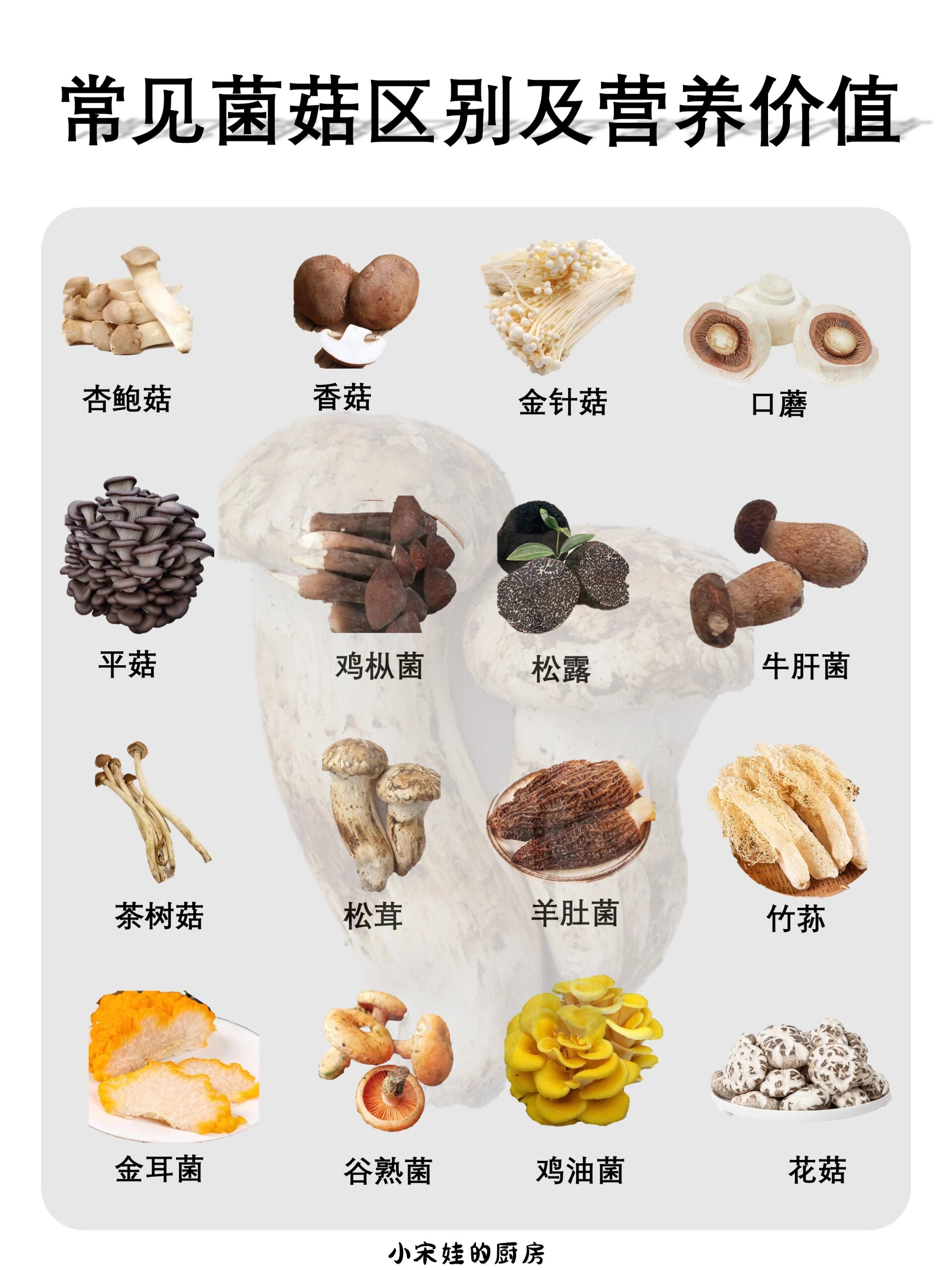 常见菌菇的区别及营养价值