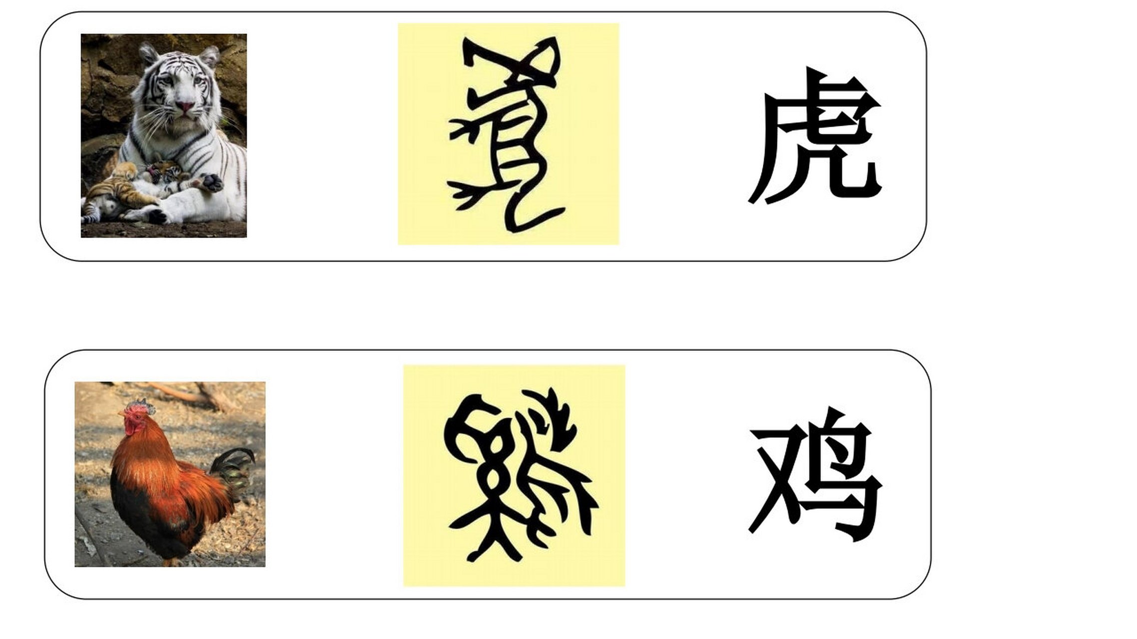 十二生肖文字演变