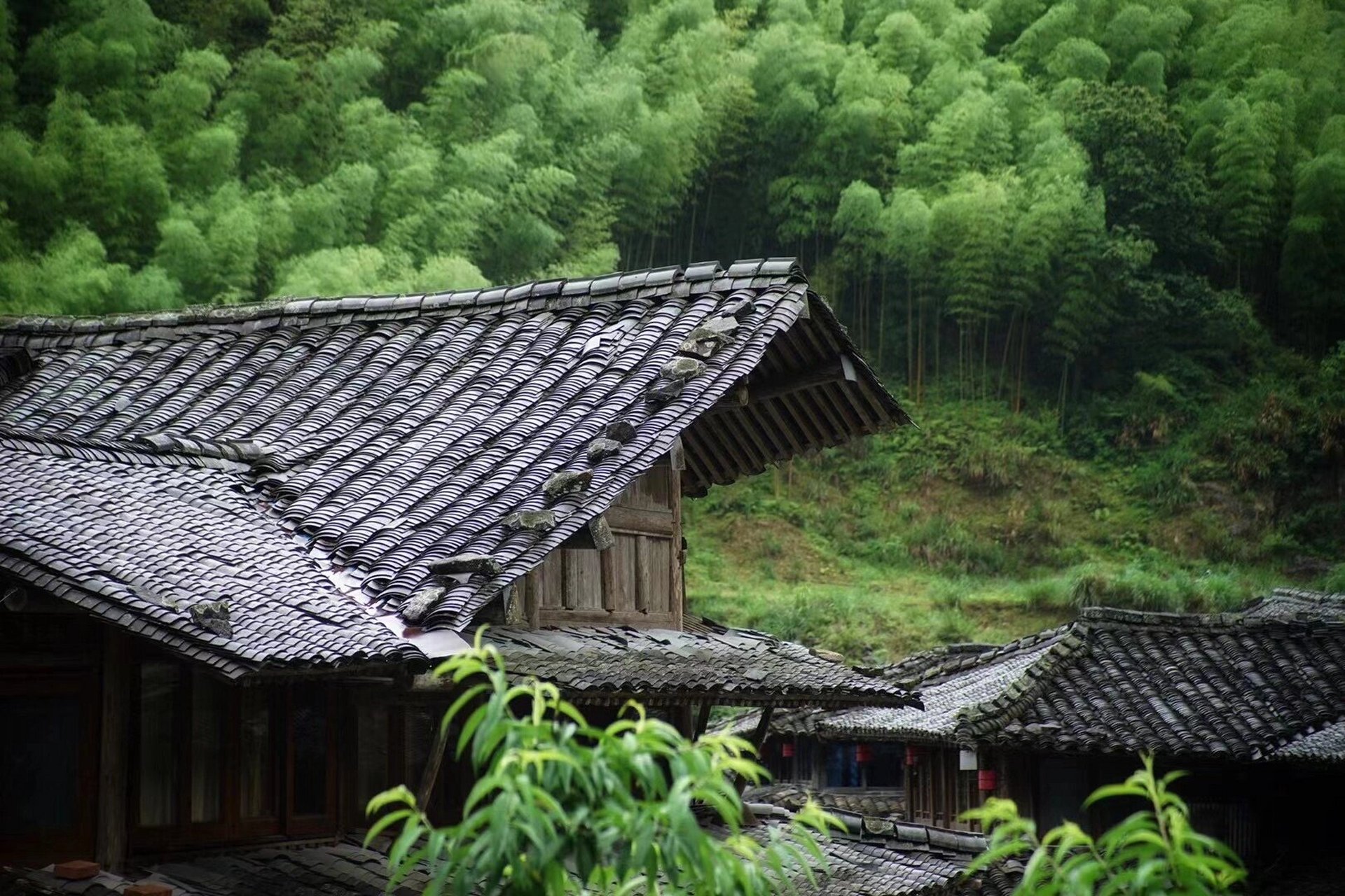楠溪江源头的林坑古村,能遇见真好 几年前的雁荡山楠溪江之旅,最大的
