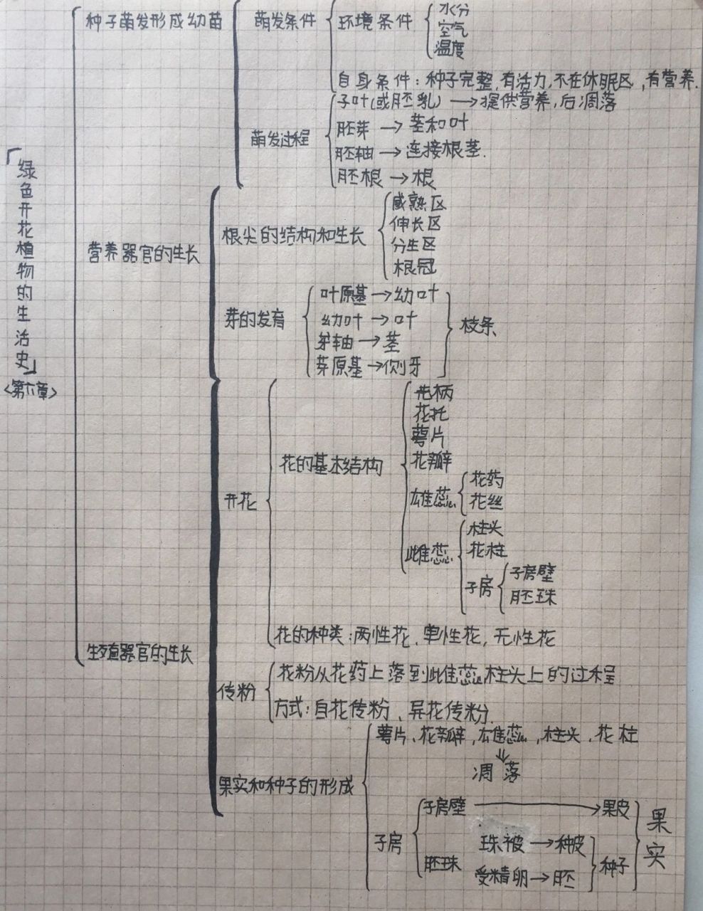 七年级上册全册生物思维导图 原创笔记……字丑勿喷