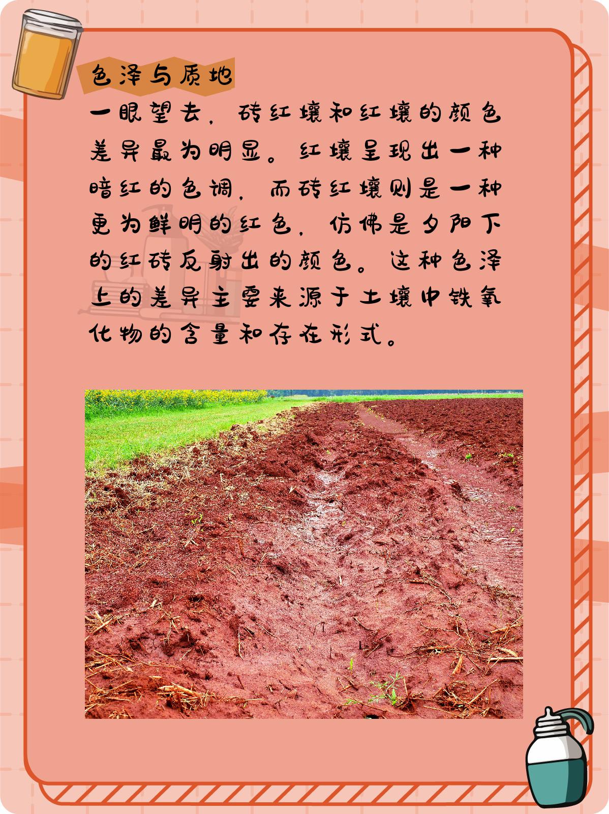 砖红壤和红壤的区别