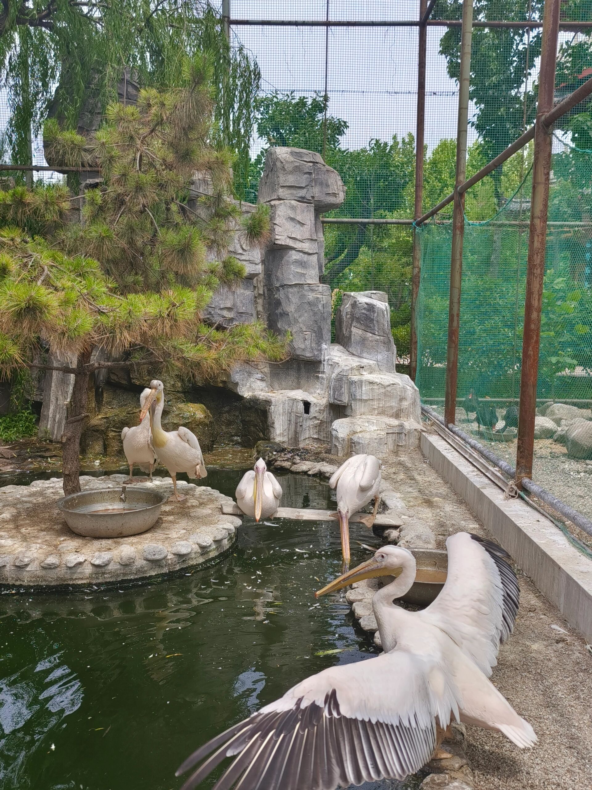 1.位置:蓬莱区黄金河度假村动物园(地图直接导航就行) 2.