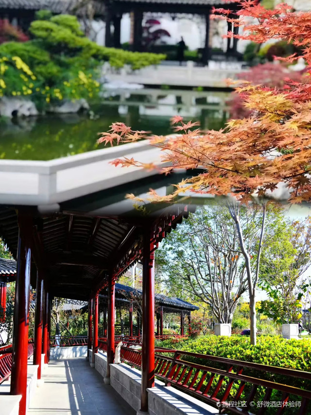 六安酒店推荐|南湖白鹭园酒店体验