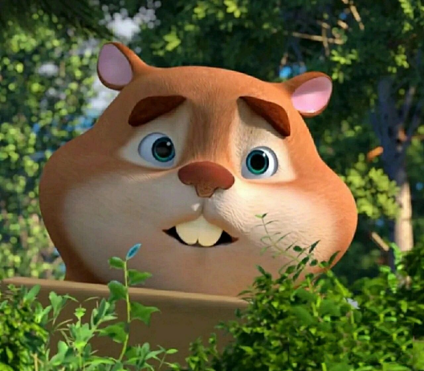 "豆……豆豆!真的是你!"洞洞幺激动起来:"我们真的能再见!