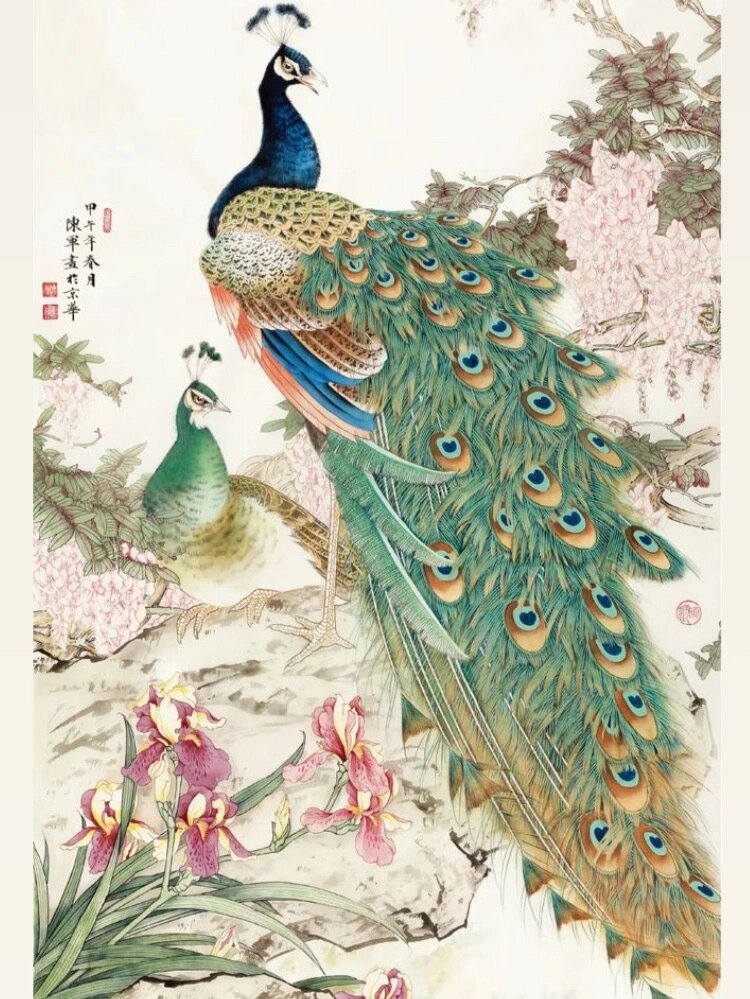 中国工笔画孔雀图欣赏