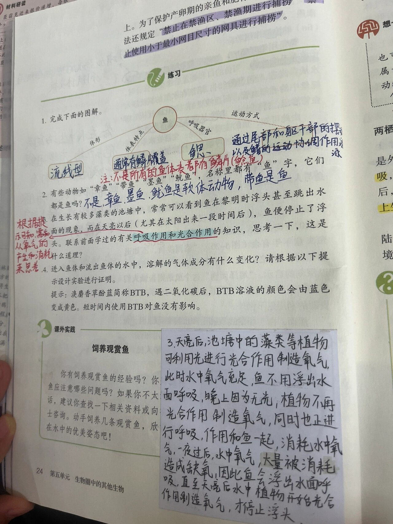 八上生物笔记