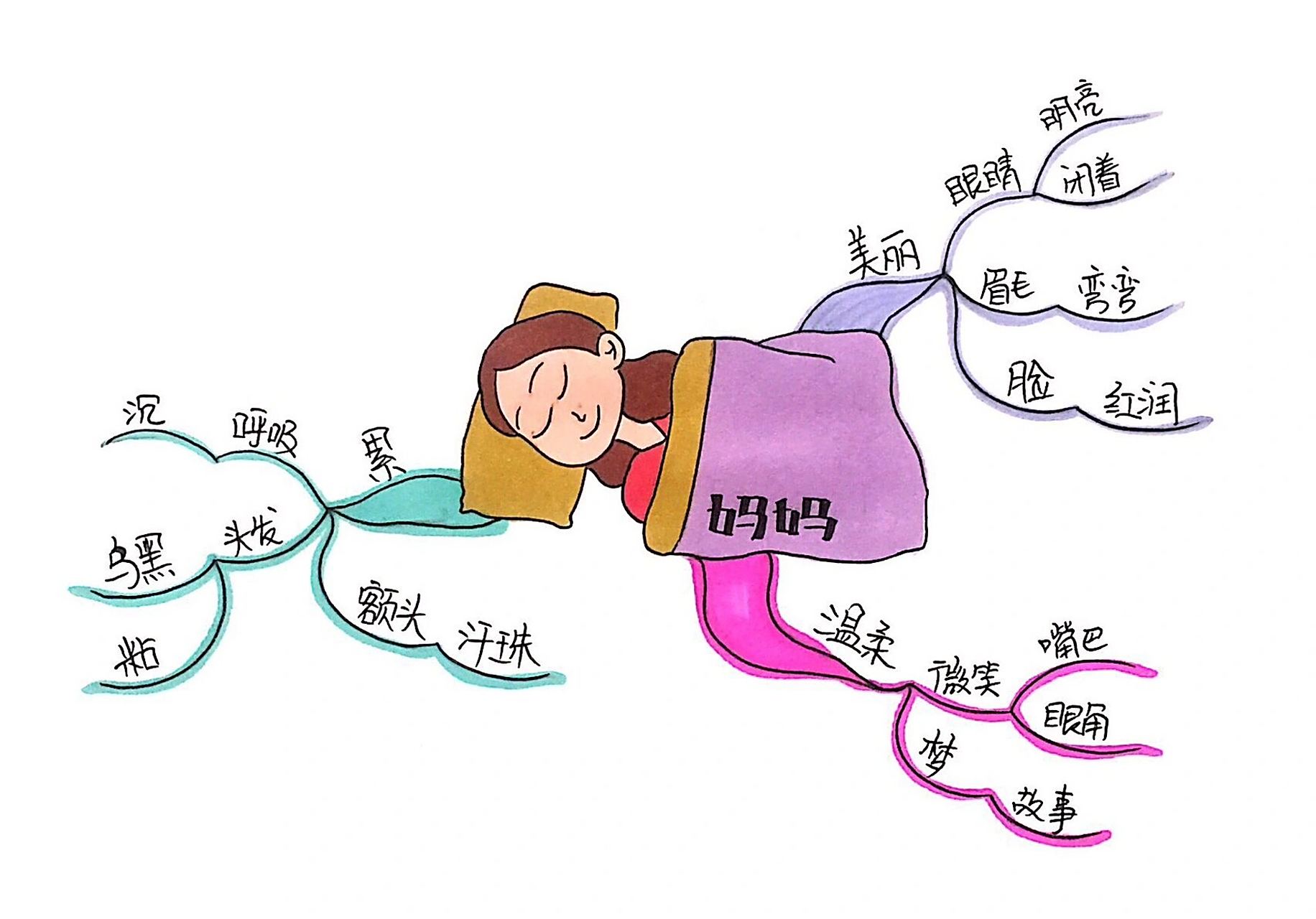 小学生思维导图,2年级上,妈妈睡了 二年级的小朋友们,来收图啦