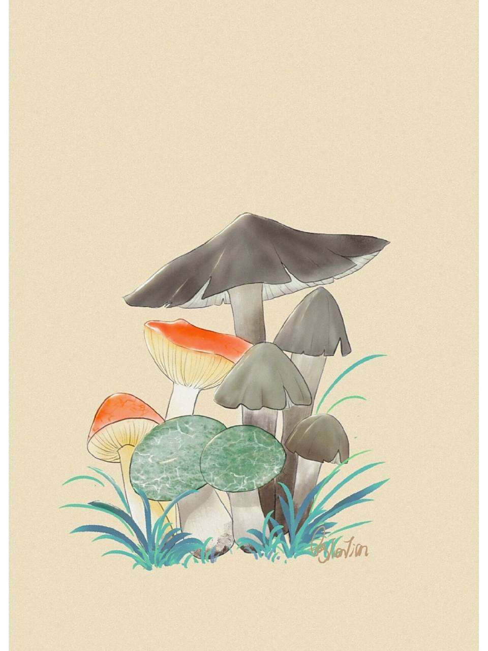 原创插画——云南野生菌 又到了一年一度的试毒大会了,云南人绝不认输